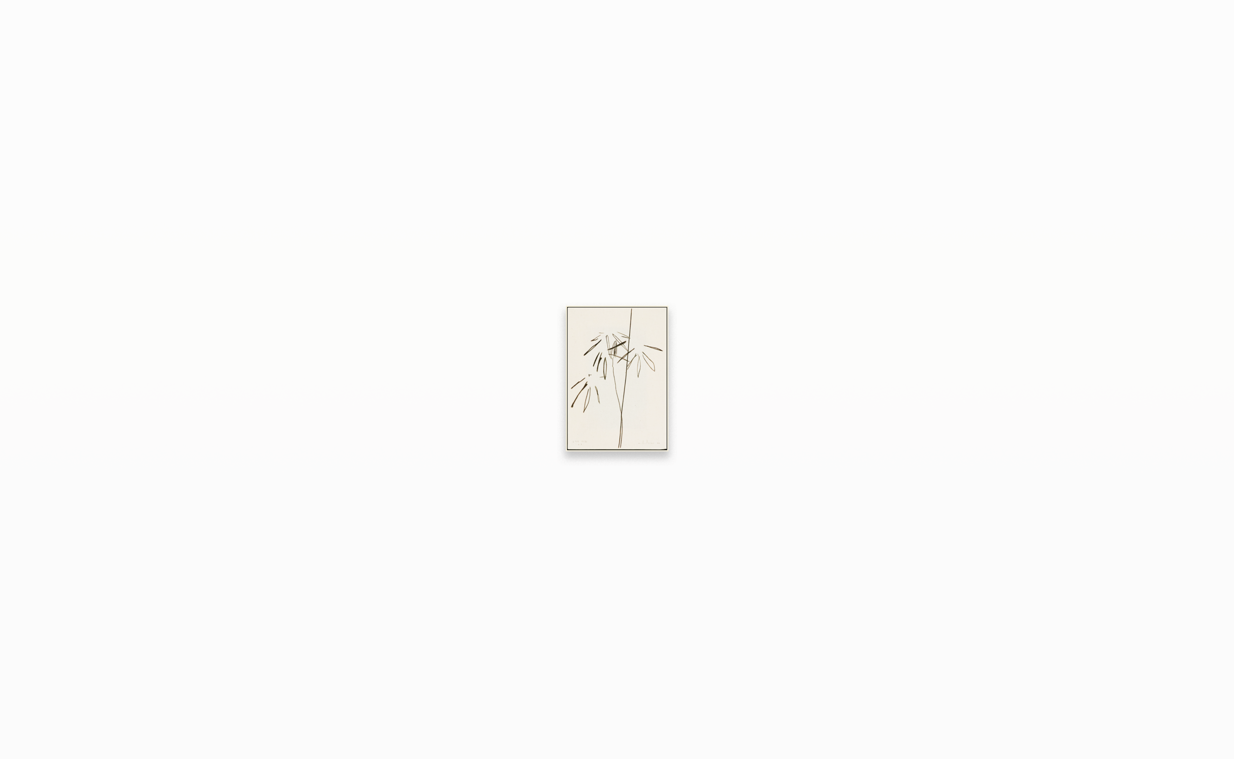 black 1:2, 1:24, N.9 - relationshot, golden x