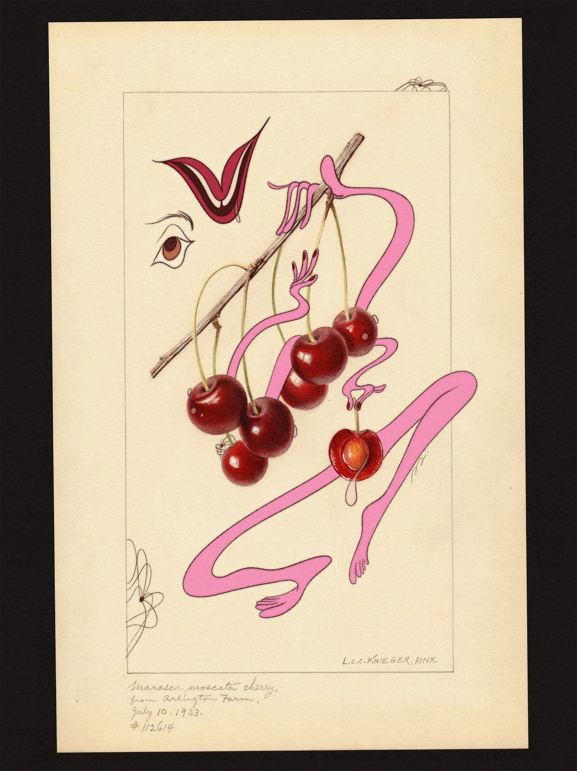 Cereja menor site.jpg