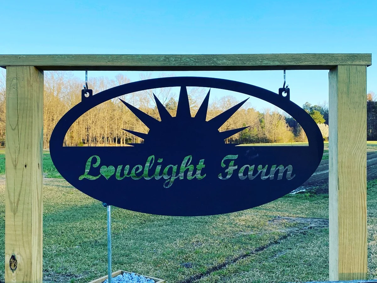 Welcome to our website!!!