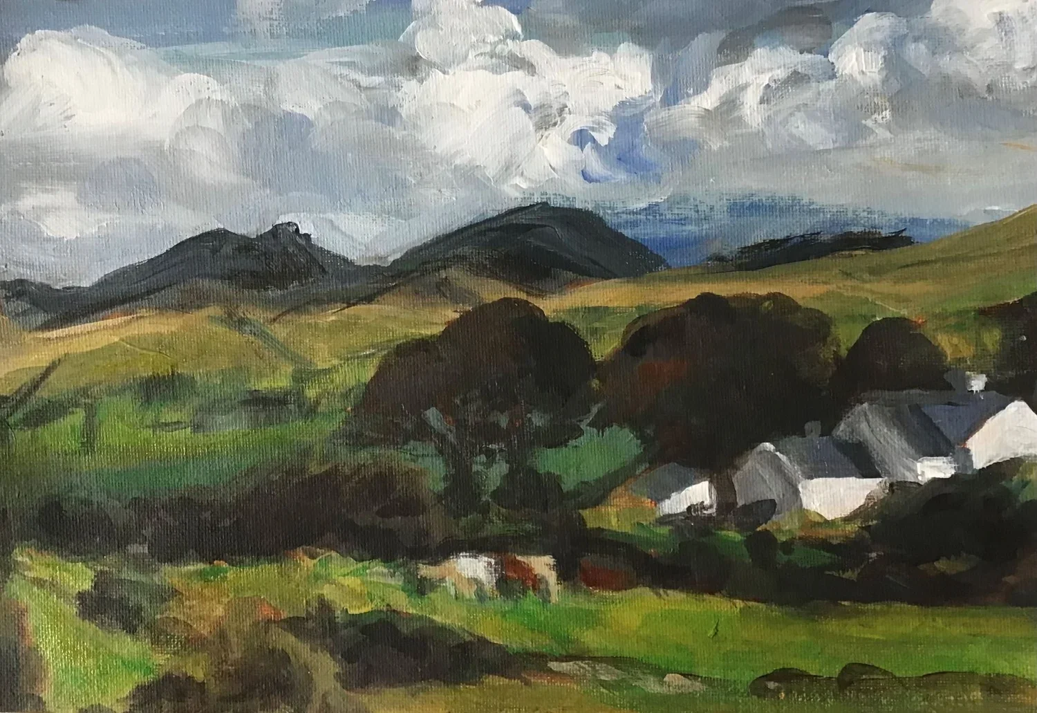 Summer in the Mournes