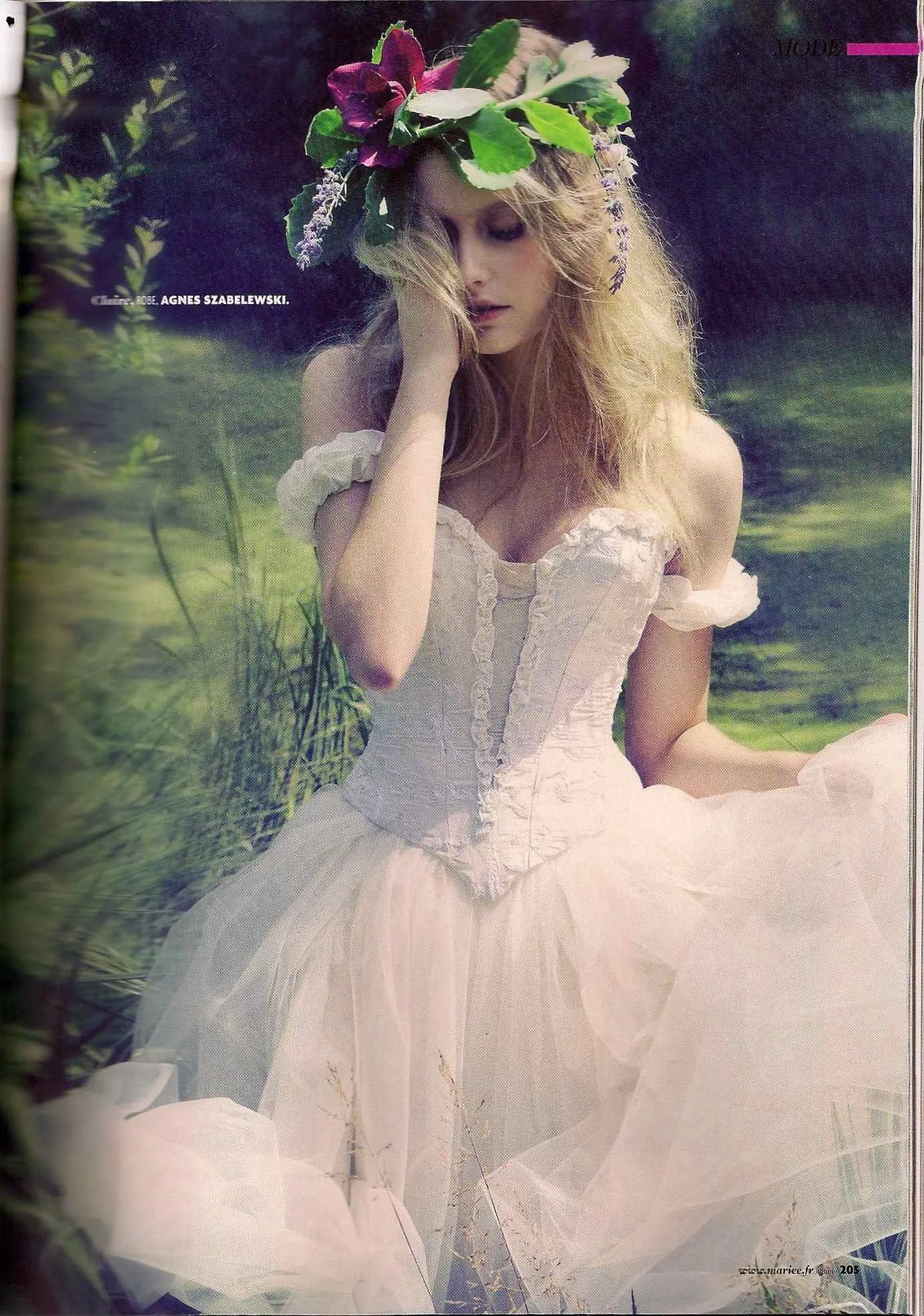 sc0006dd82.jpg
