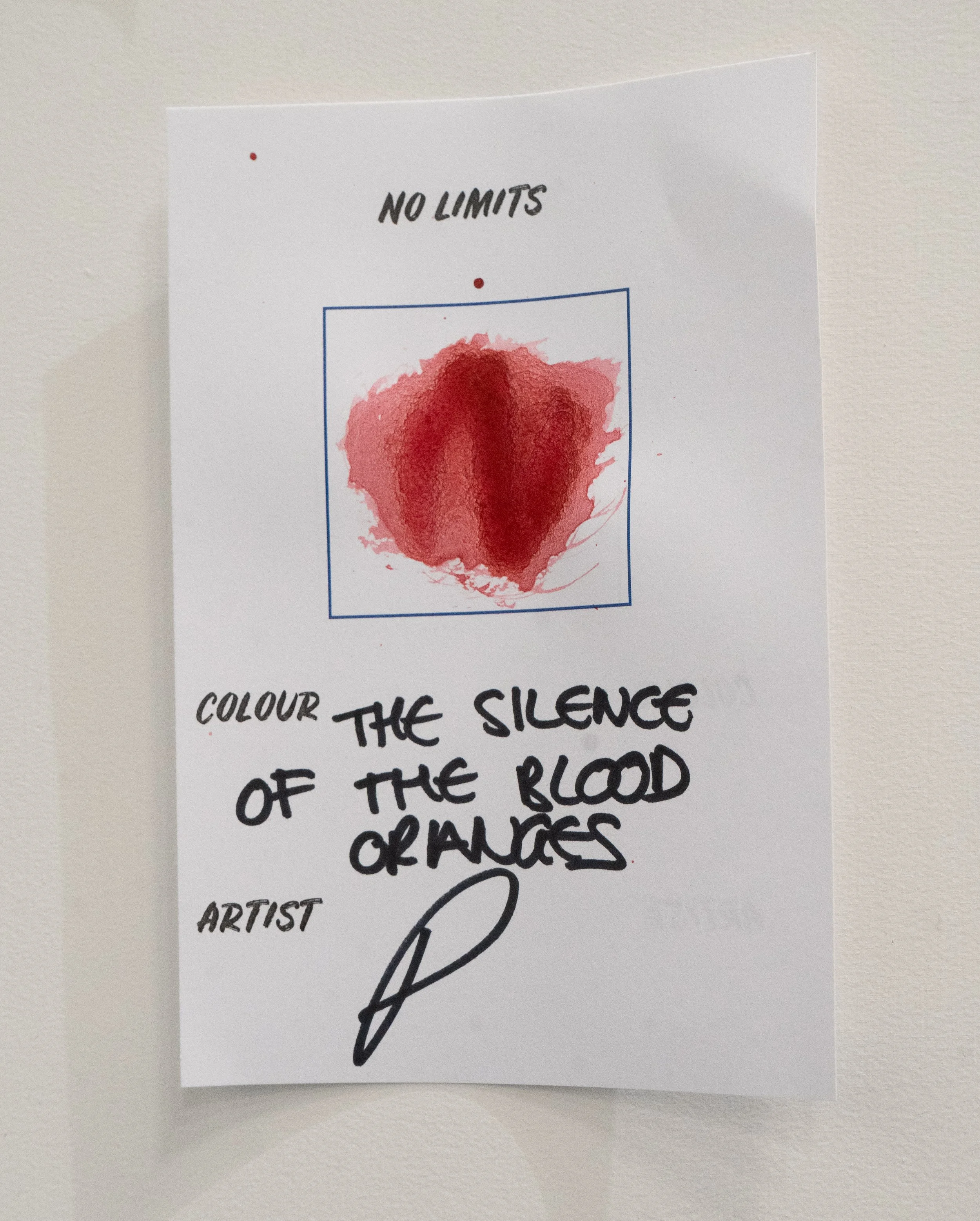No Limits Research and Development, Woolwich Works, 04 Nov 2023 Photo Richard Thompson-23.jpg