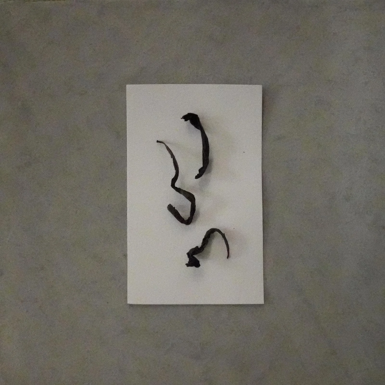 來自Gary Tin的相片 (7).jpg