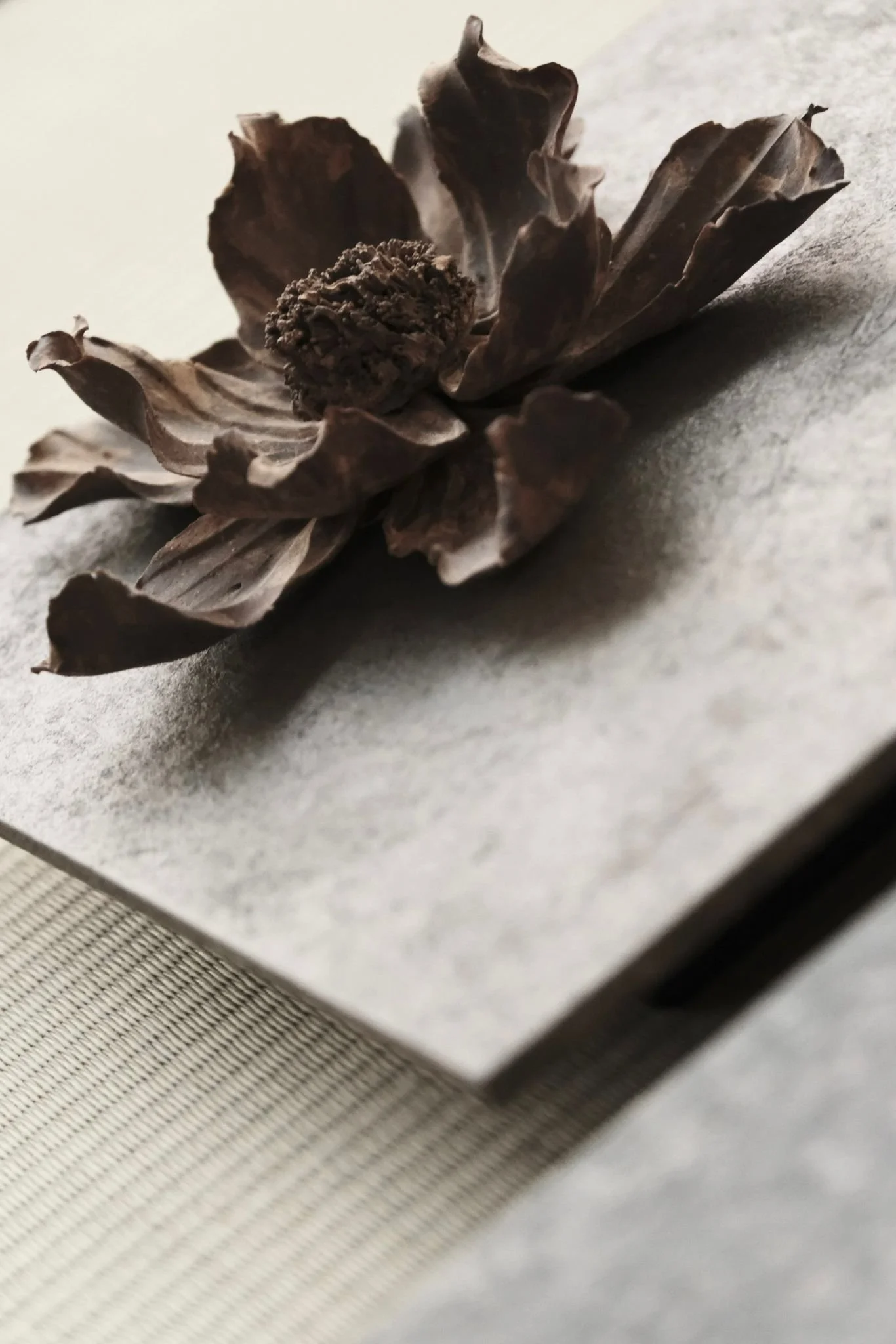 WhatsApp Image 2025-10-31 at 17.18.43 (6).jpeg