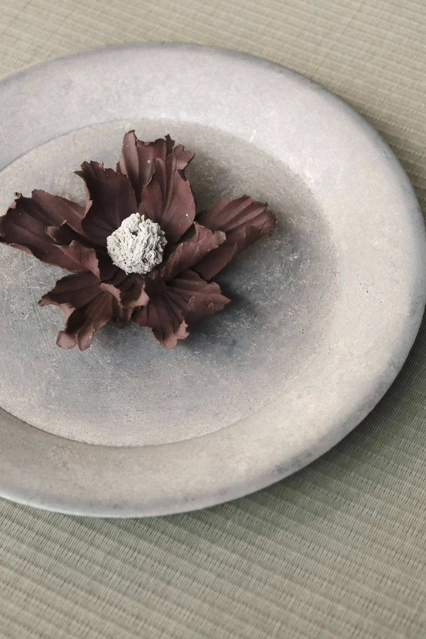 WhatsApp Image 2025-10-31 at 17.18.43.jpeg