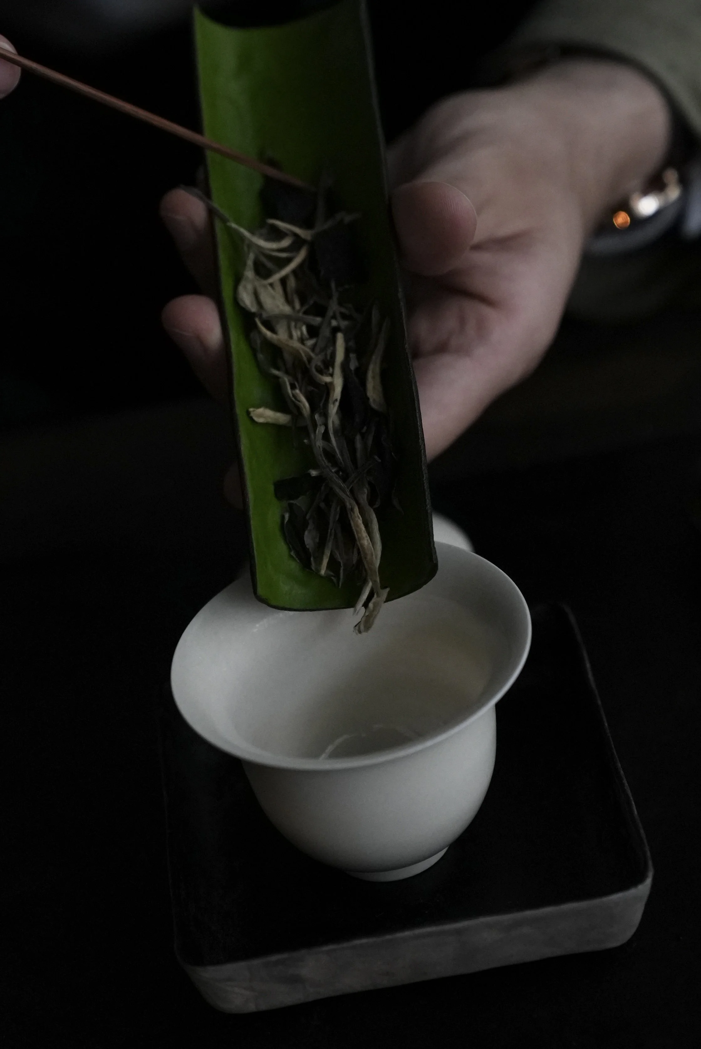 DSC07725.jpg