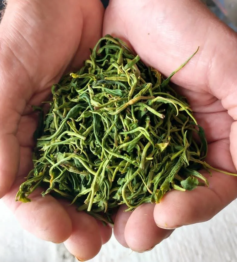 WhatsApp Image 2026-01-15 at 16.08.16 (4).jpeg