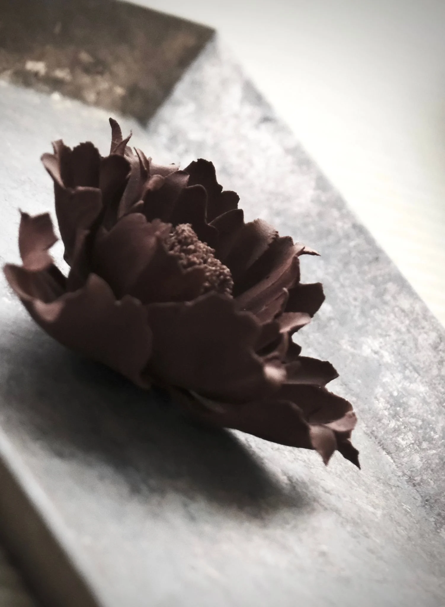 WhatsApp Image 2025-10-31 at 17.18.43 (5).jpeg