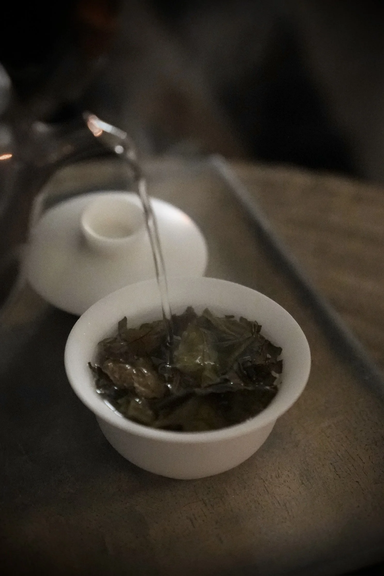 DSC02903 2.jpg