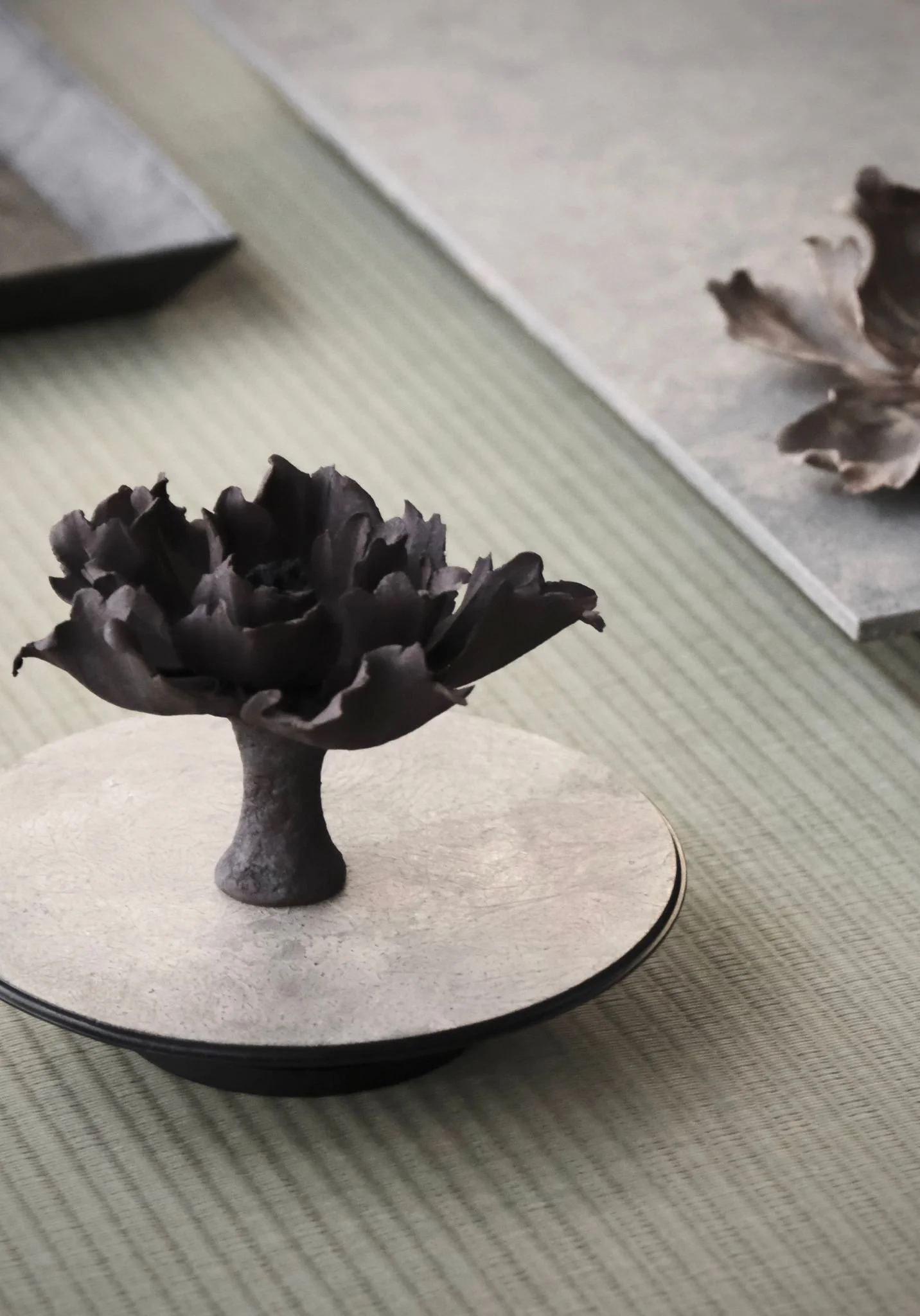 WhatsApp Image 2025-10-31 at 17.18.43 (2).jpeg