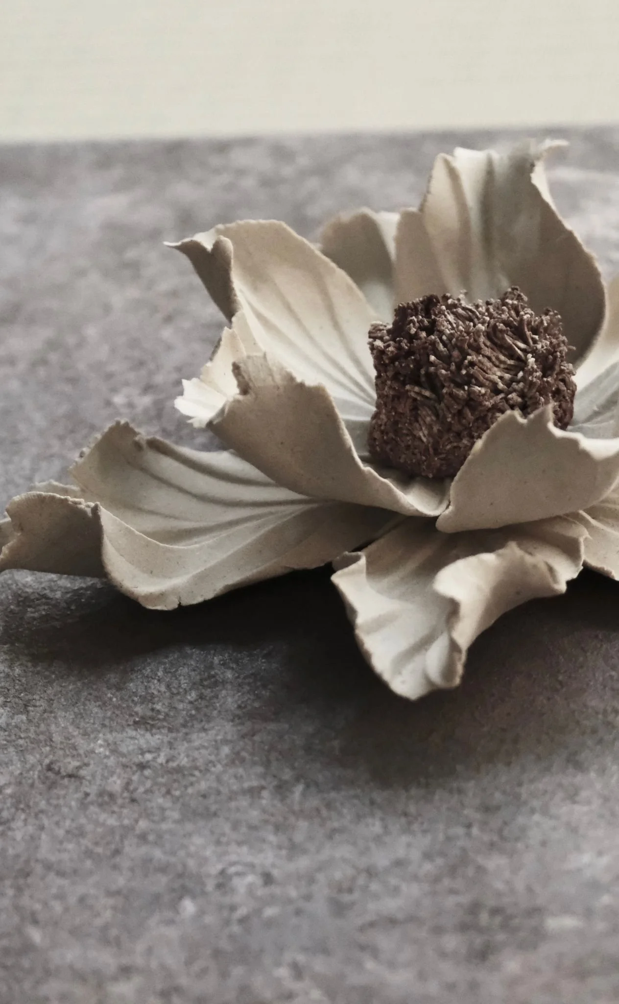 WhatsApp Image 2025-10-31 at 17.18.44 (2).jpeg