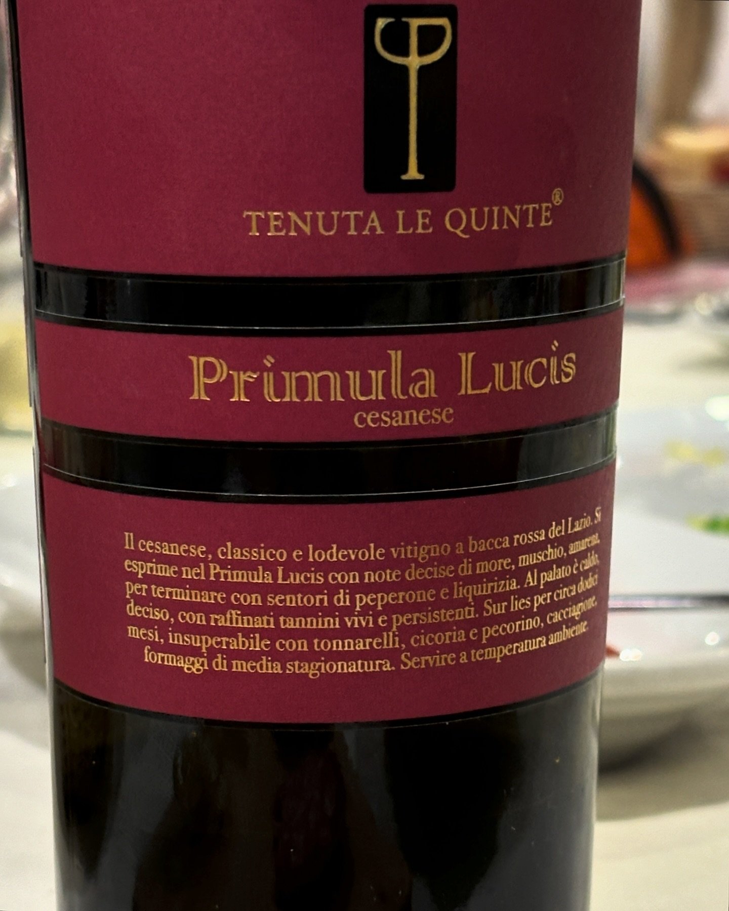 wine finds - save to try when in rome 📎

primula lucis cesanese | tenuta le quinte | lazio | italy 

cesanese - red grape variety, native to lazio region

intense dark fruit and earthy flavors, strong yet silky tannins - the wine left a delicious im