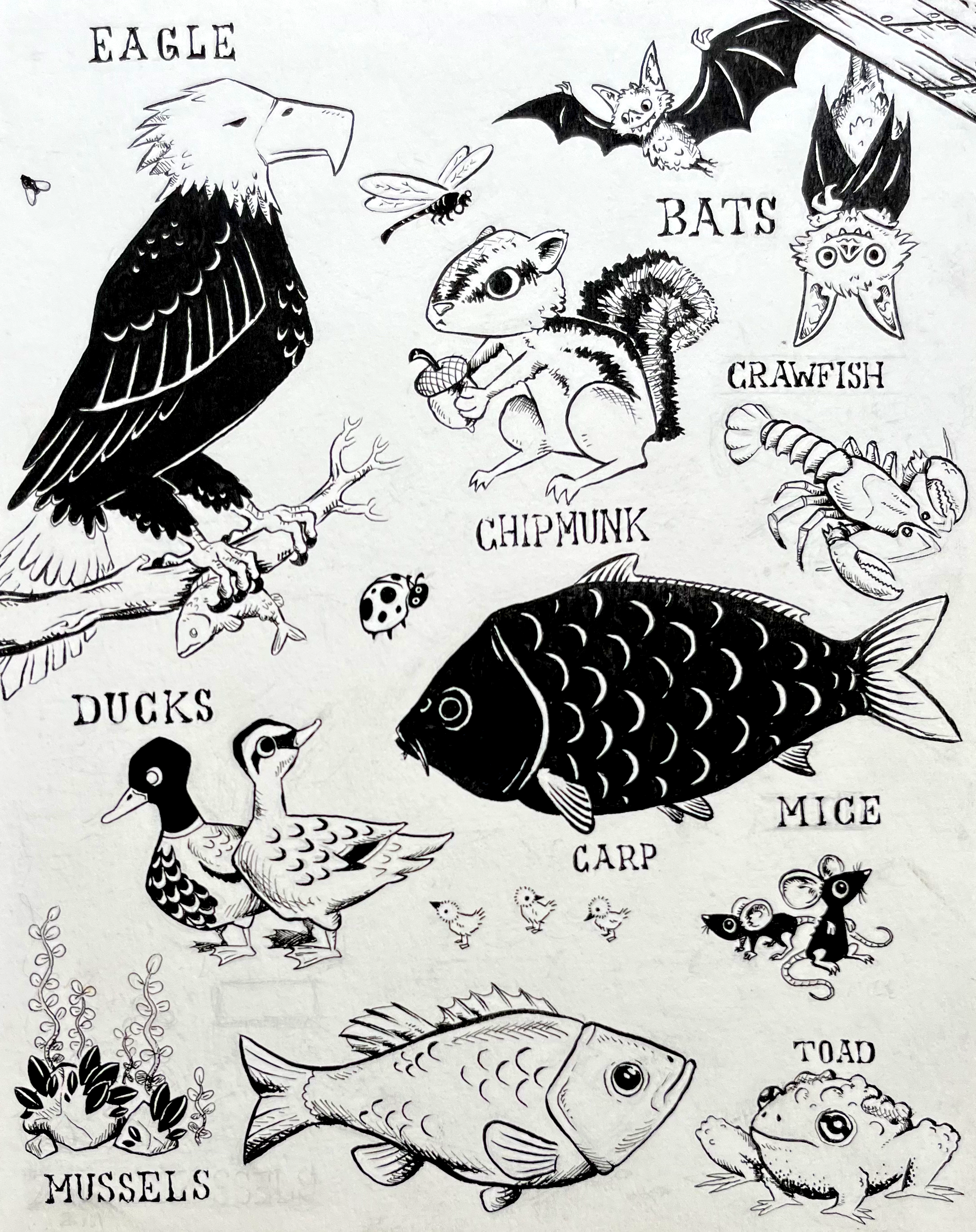animals.png