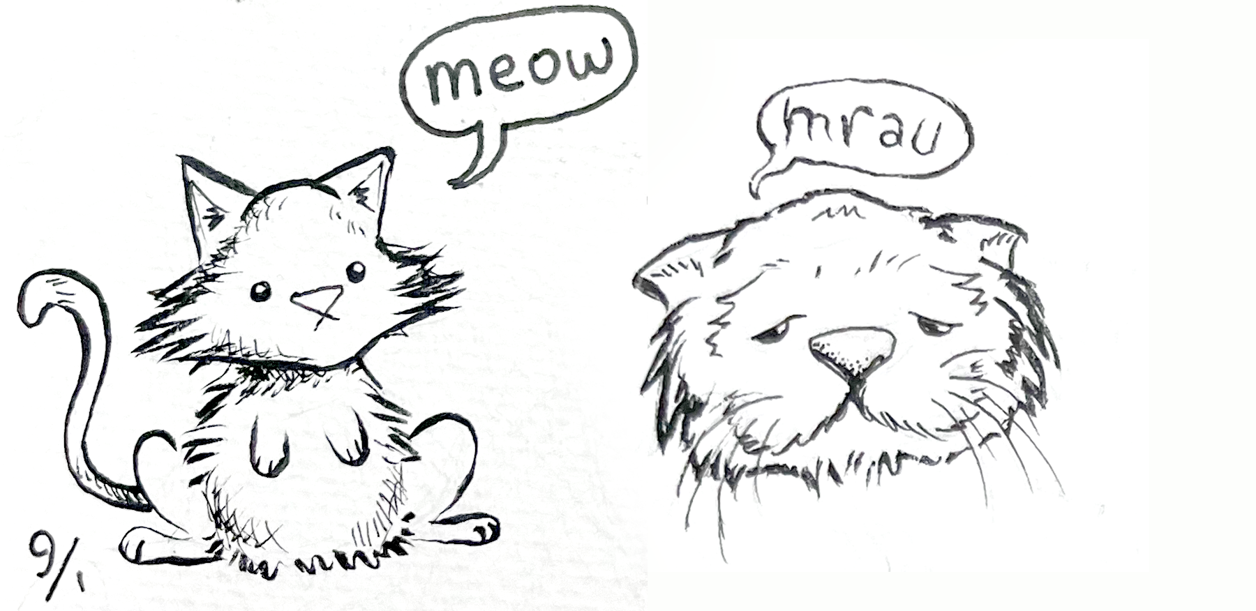 cats.png