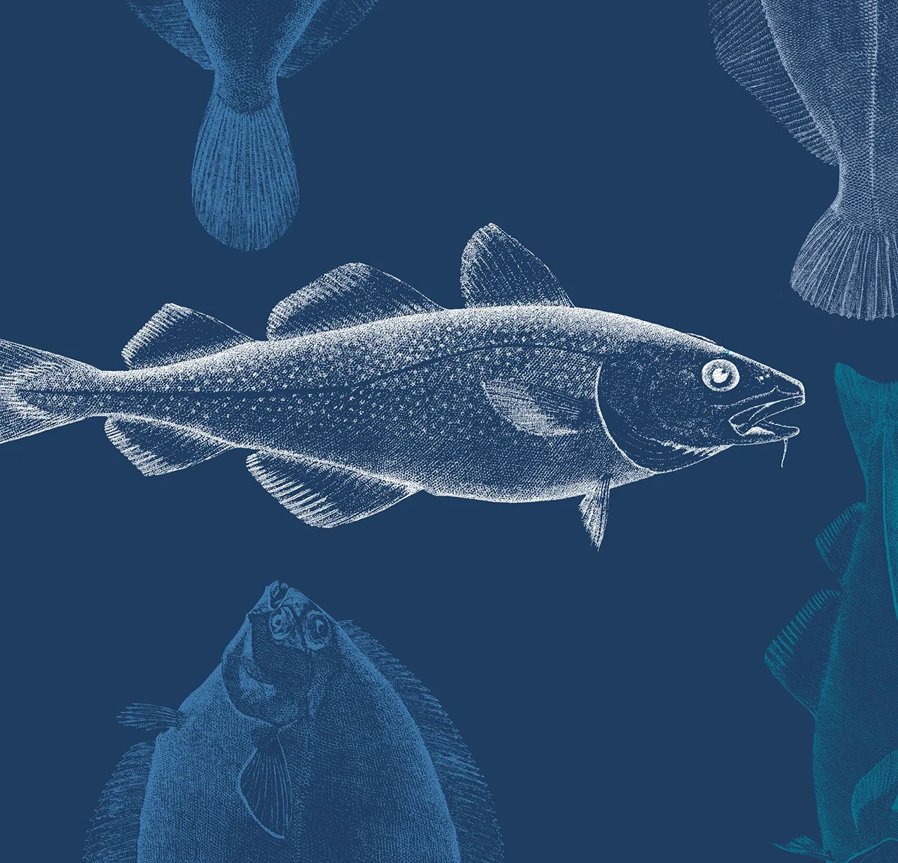 Fishing for a Future Report