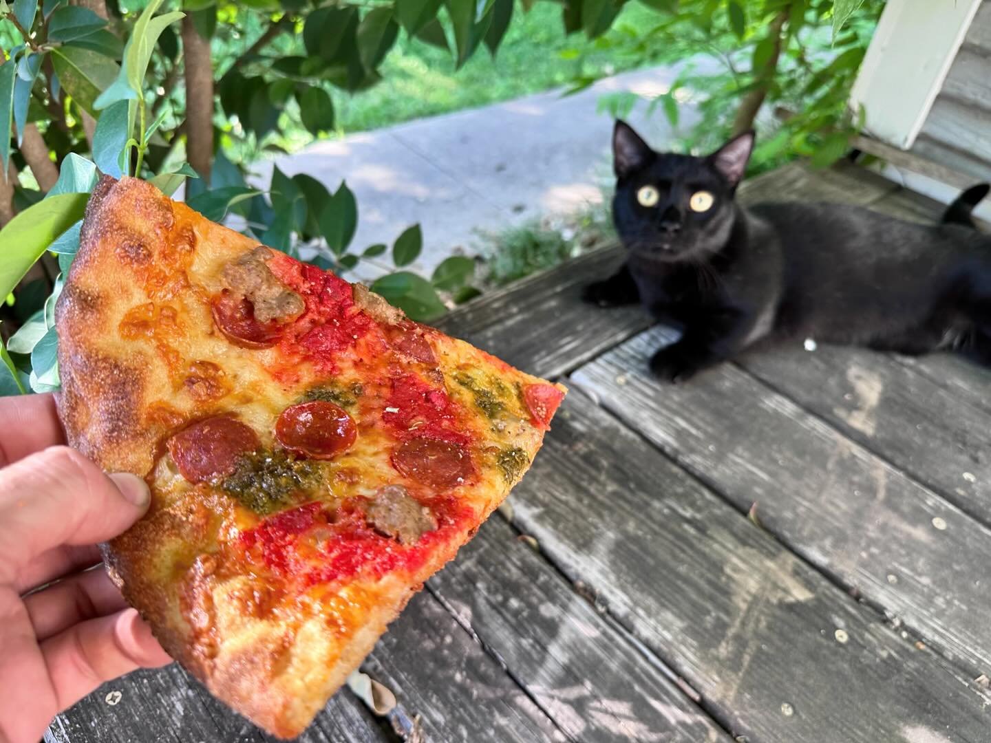 Pizza &amp; a black cat, doesn&rsquo;t get much better than that 😻&hellip;

🍕🐈&zwj;⬛: Ippo / Lil&rsquo; Bagheera
📸: @drumrug 
.
.
.
#feralpizza #feralpizzaatx #austinpizza #atxpizza #pizzaatx #atxfoodtruck #austintexas #austintx #atx #hydepark #h