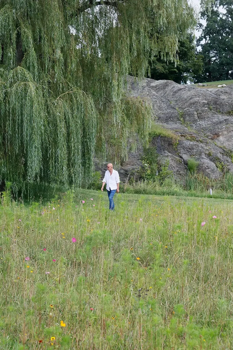 A person walking through a grassy field with tall wildflowers, next to a large weeping willow tree and a rocky hillside in the background.
