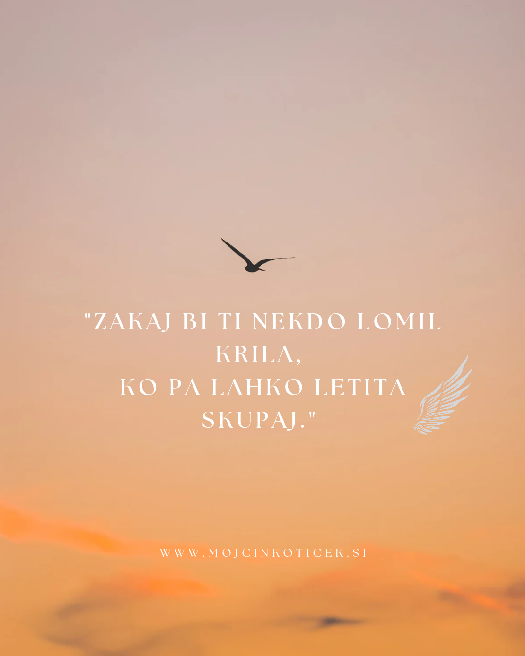 KRILA - MEDIJSTVO