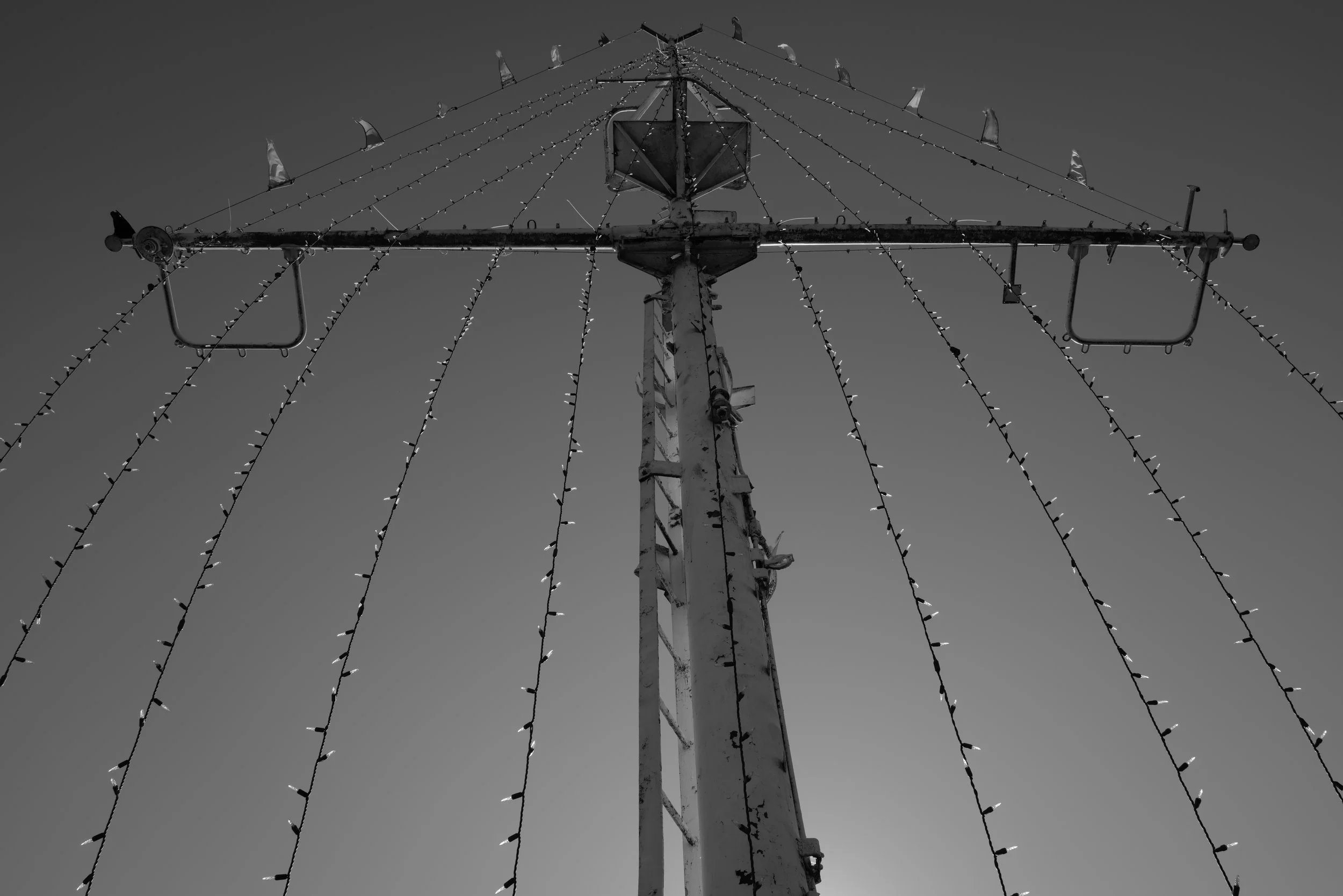 L1030552.JPG
