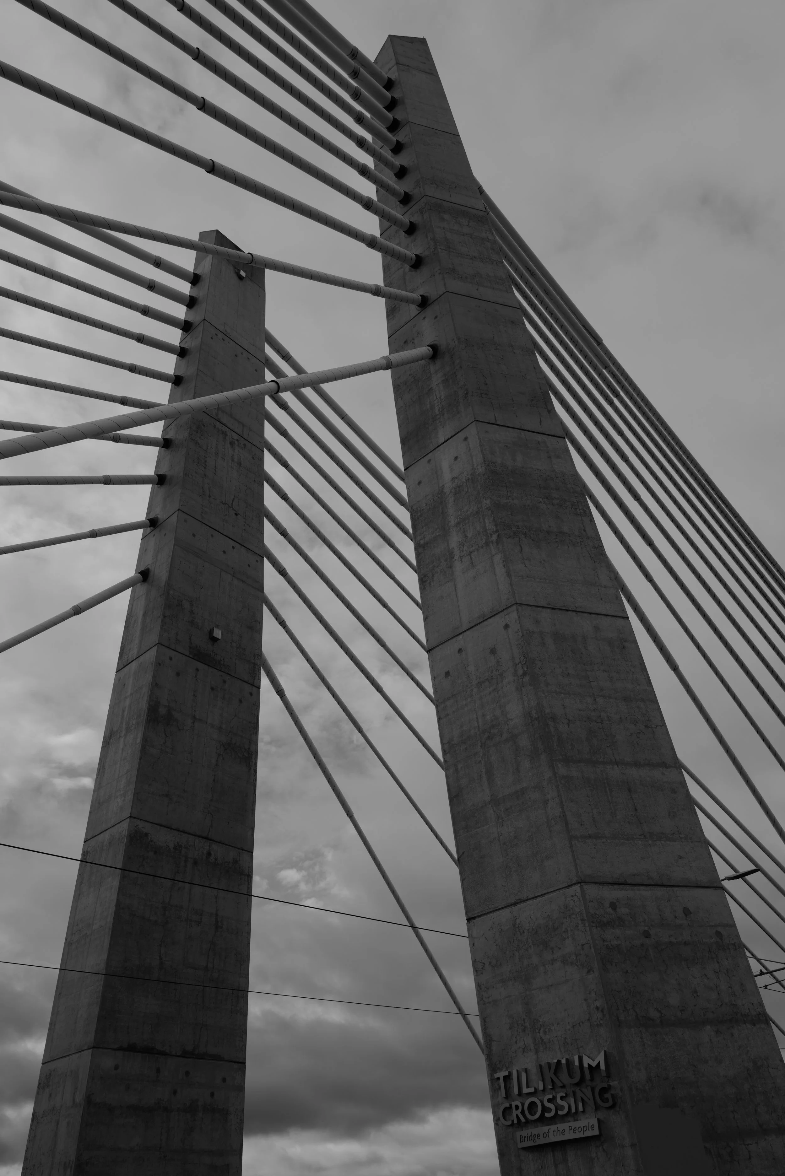 L1030883.JPG