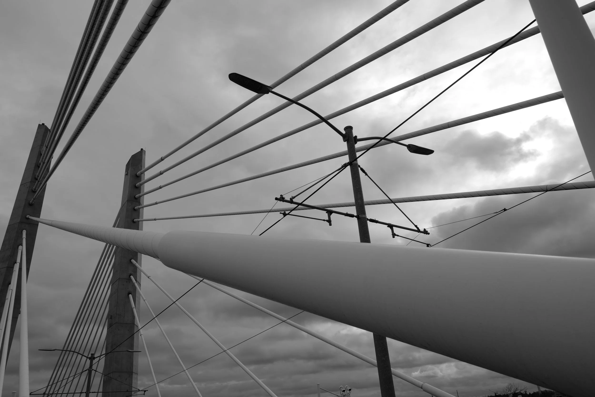 L1030899.JPG