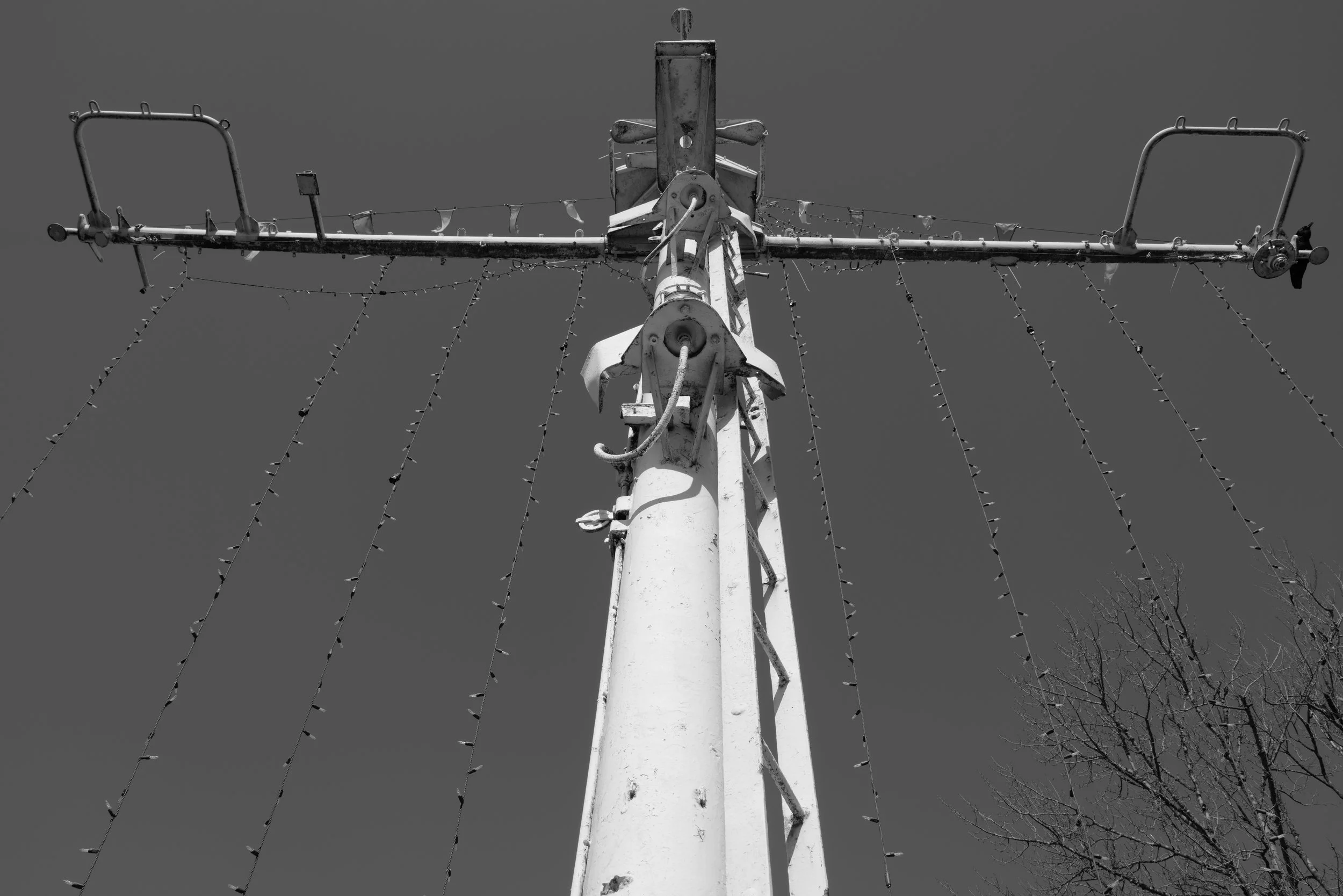 L1030541.JPG