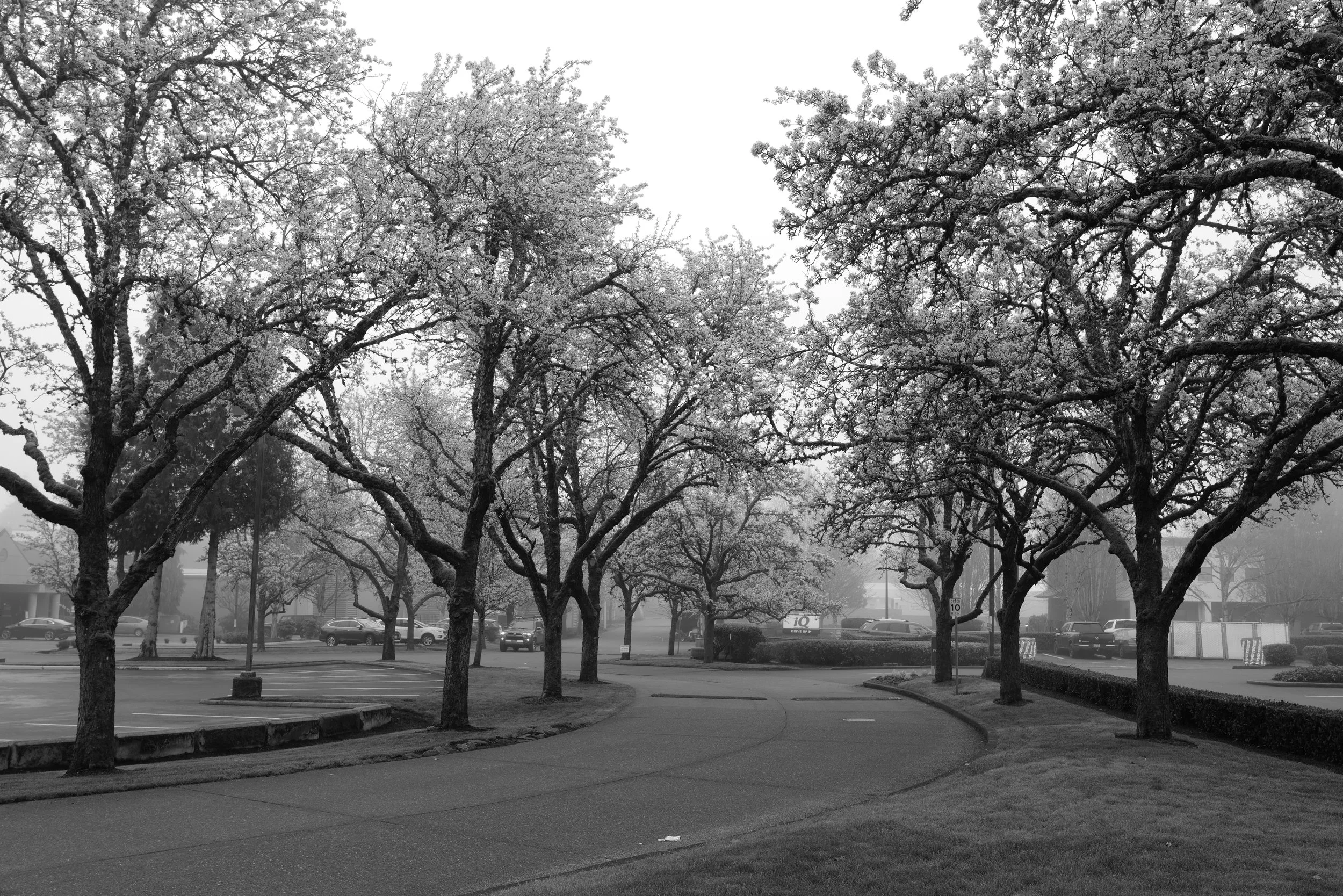 L1030583.JPG