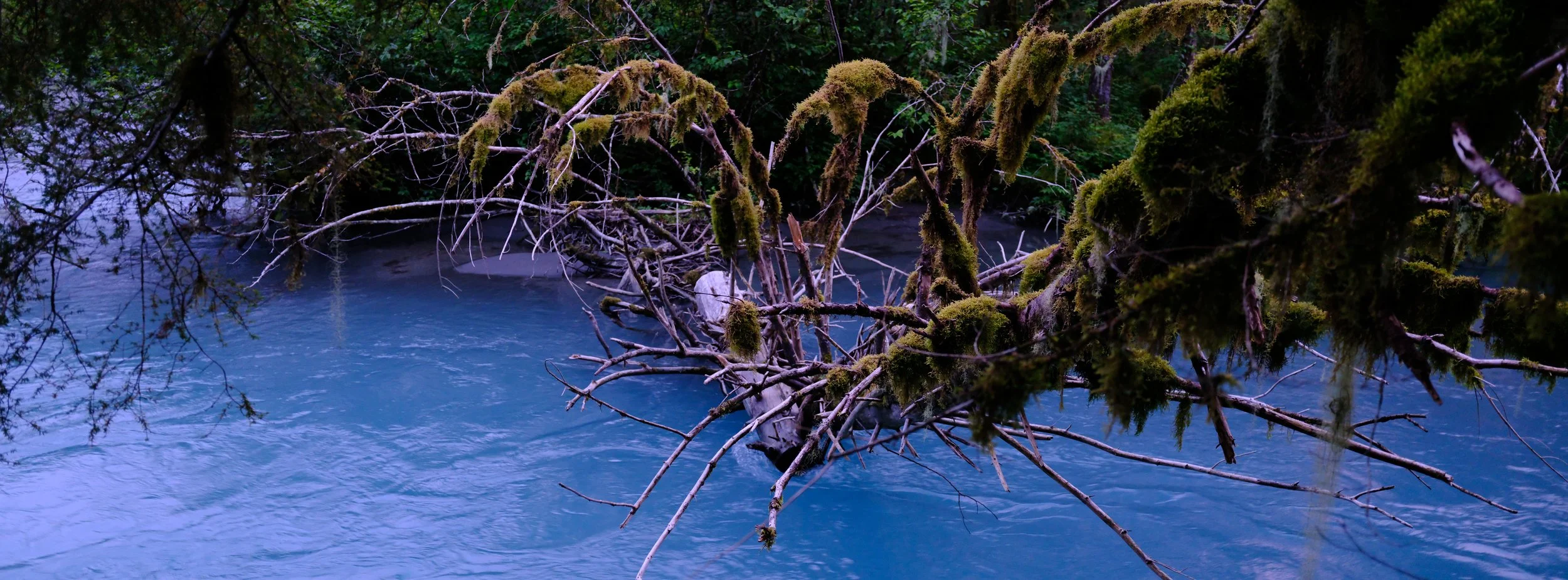 DSCF1216.JPG