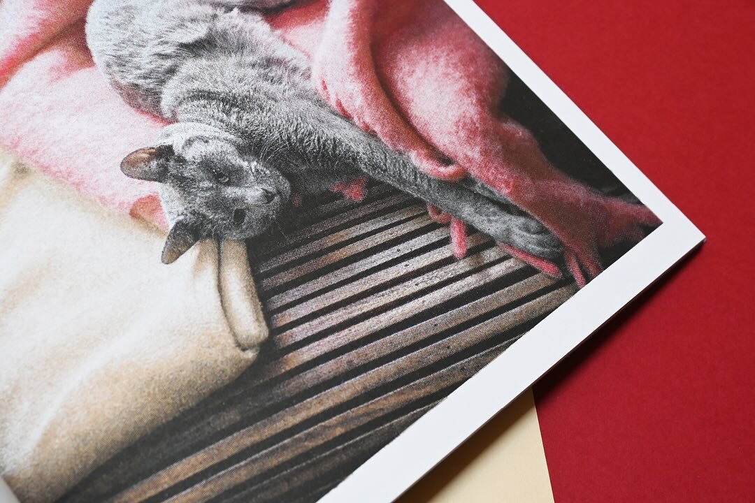 Op zoek naar een cadeau voor een fotograaf, een cat lover, een RISO fan? 🐈&zwj;⬛ Onze tip: dit visuele essay van fotograaf Jean-Luc Feixa. Het boek documenteert zijn transitie naar een nieuw huis en zijn vroege ouderschap, waarbij de kat Pamuk vooro