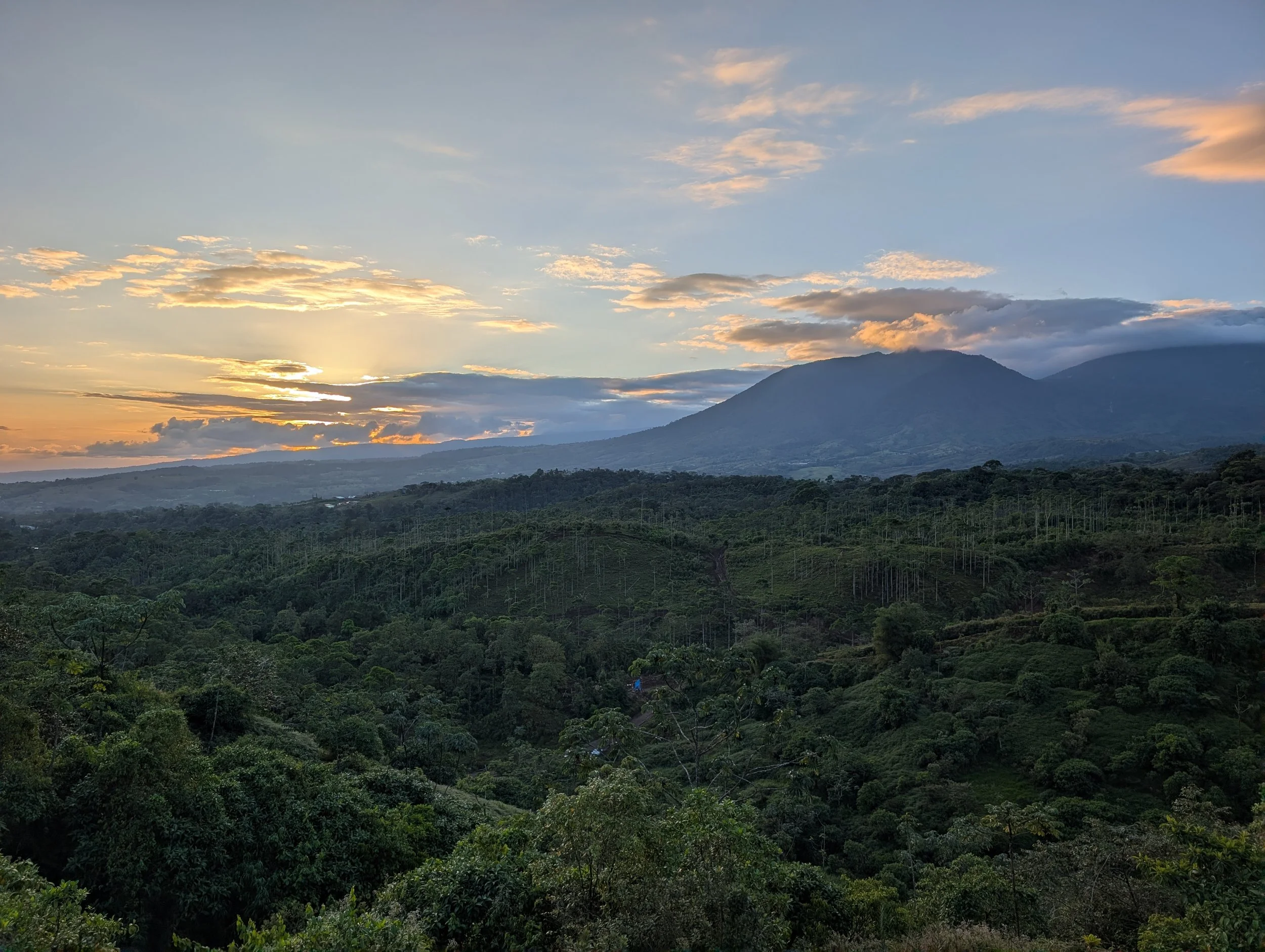 Sunset, Mountain, Forest, Clouds