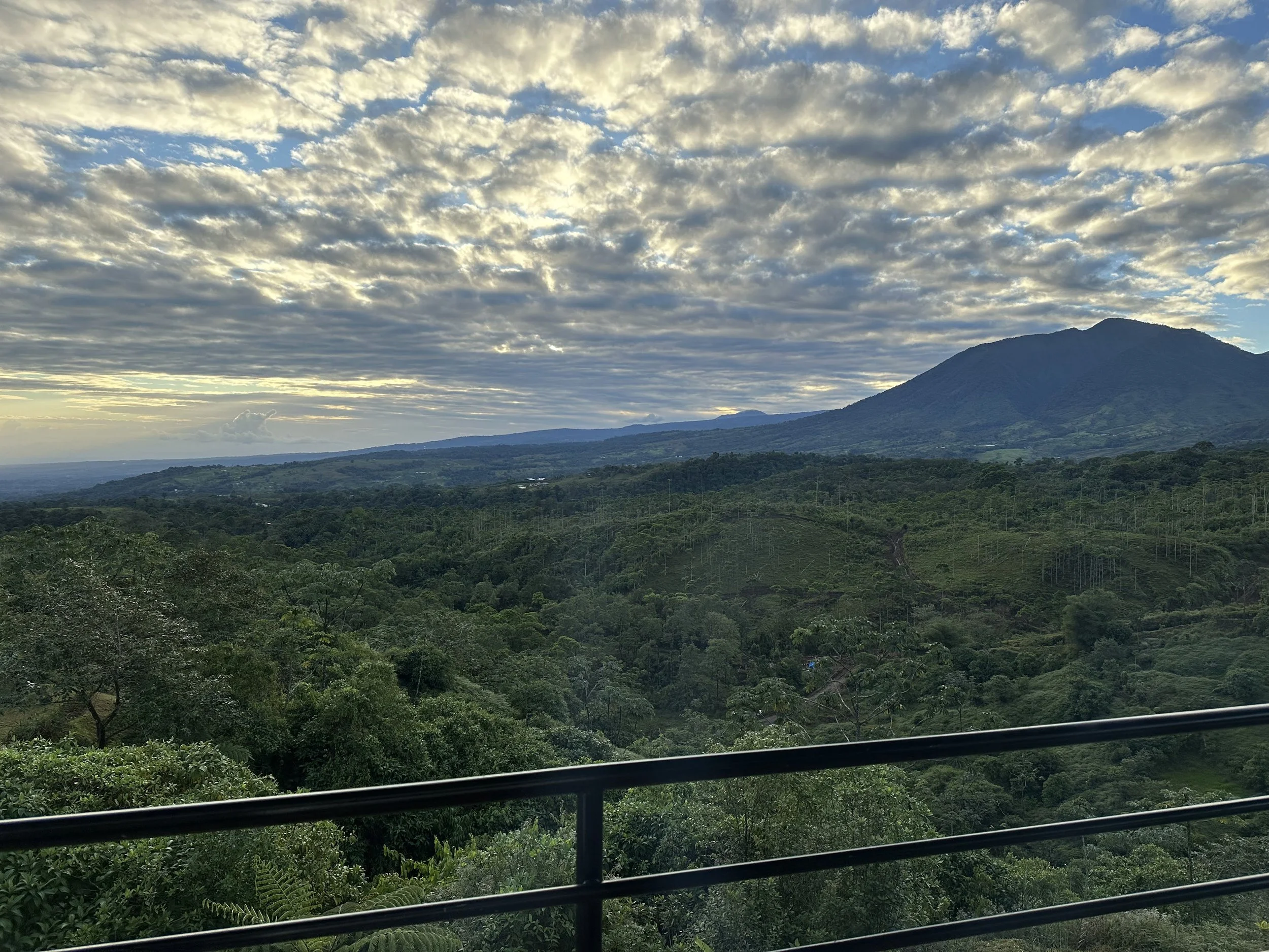 View of sunset, clouds, greenery with a mountain in the background