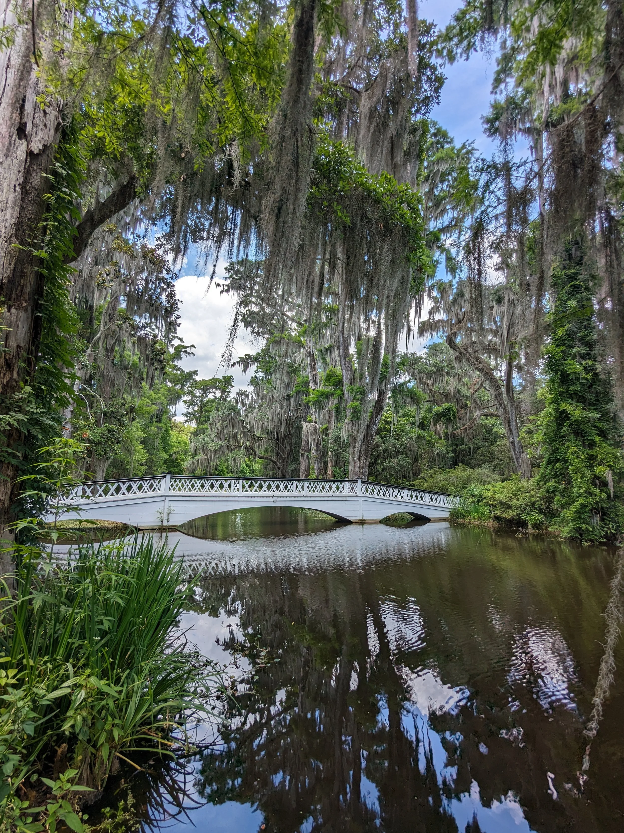 Dreamy Plantation with White Bridge and Southern Oaks over a River