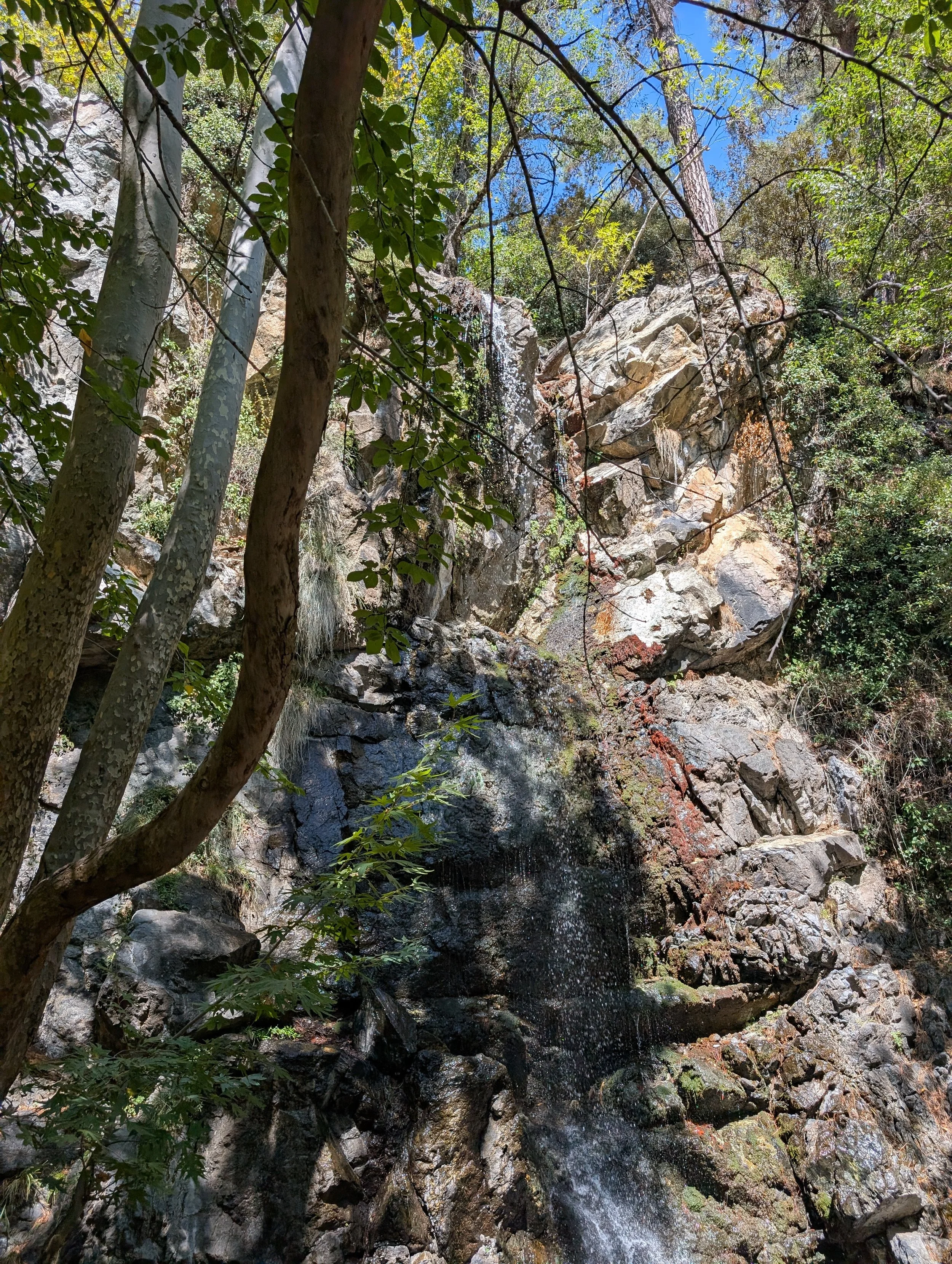 Cyprus Waterfall Forest