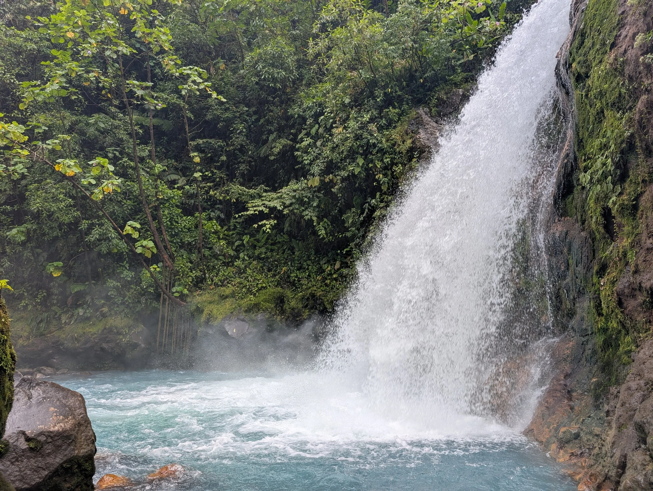 Waterfall, lagoon, and greenery