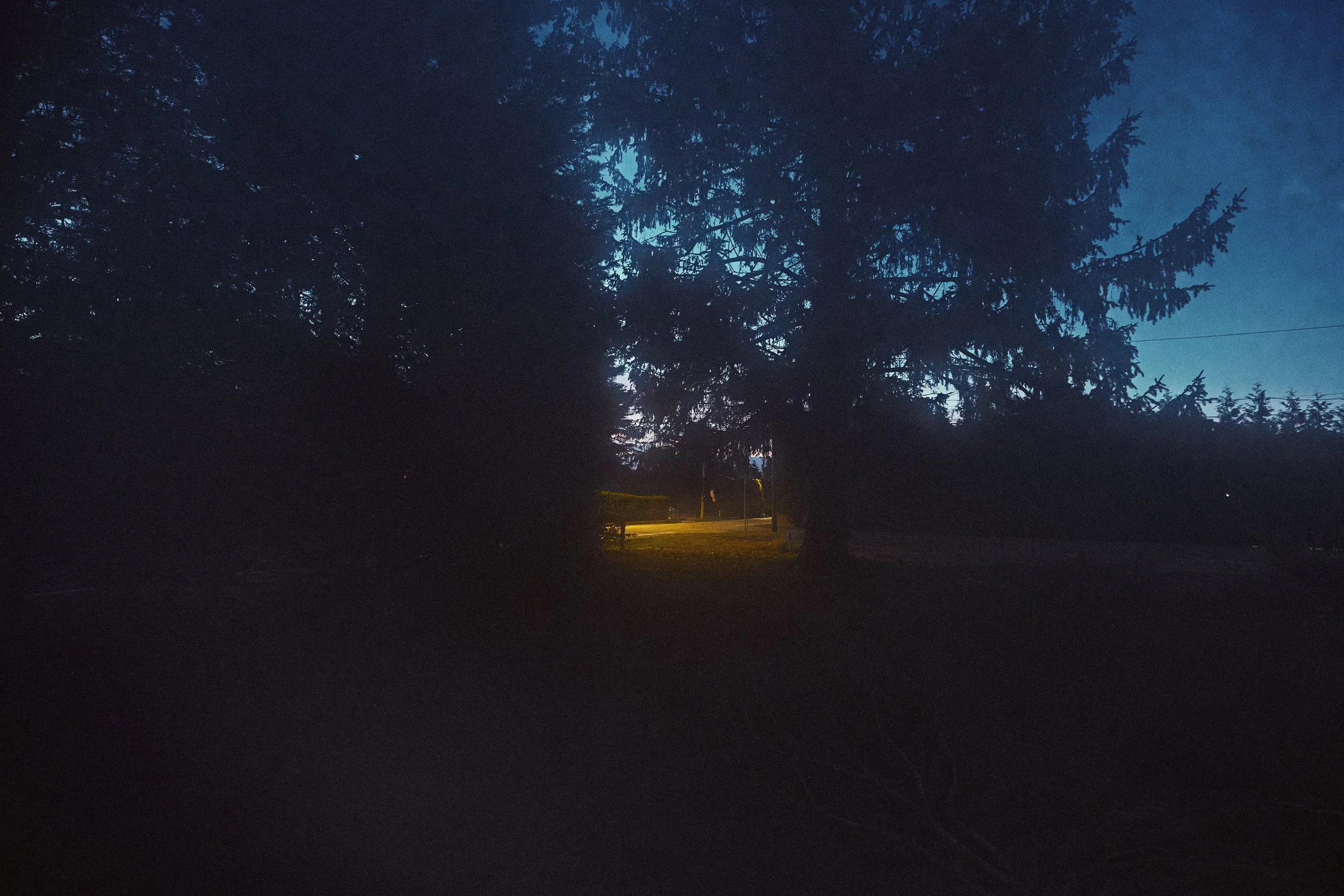 test1846.jpg