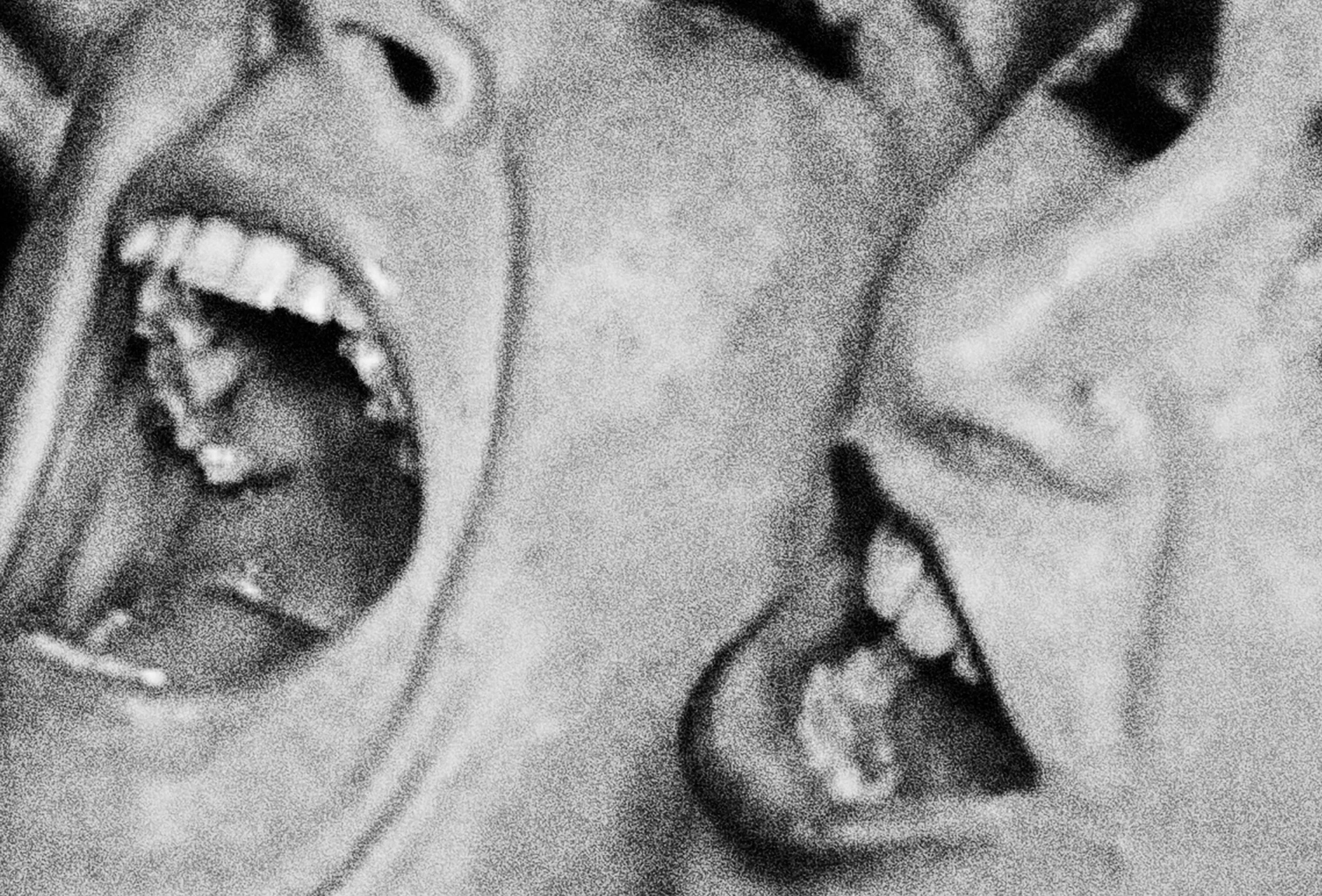 Unt3 copyb copyv.jpg