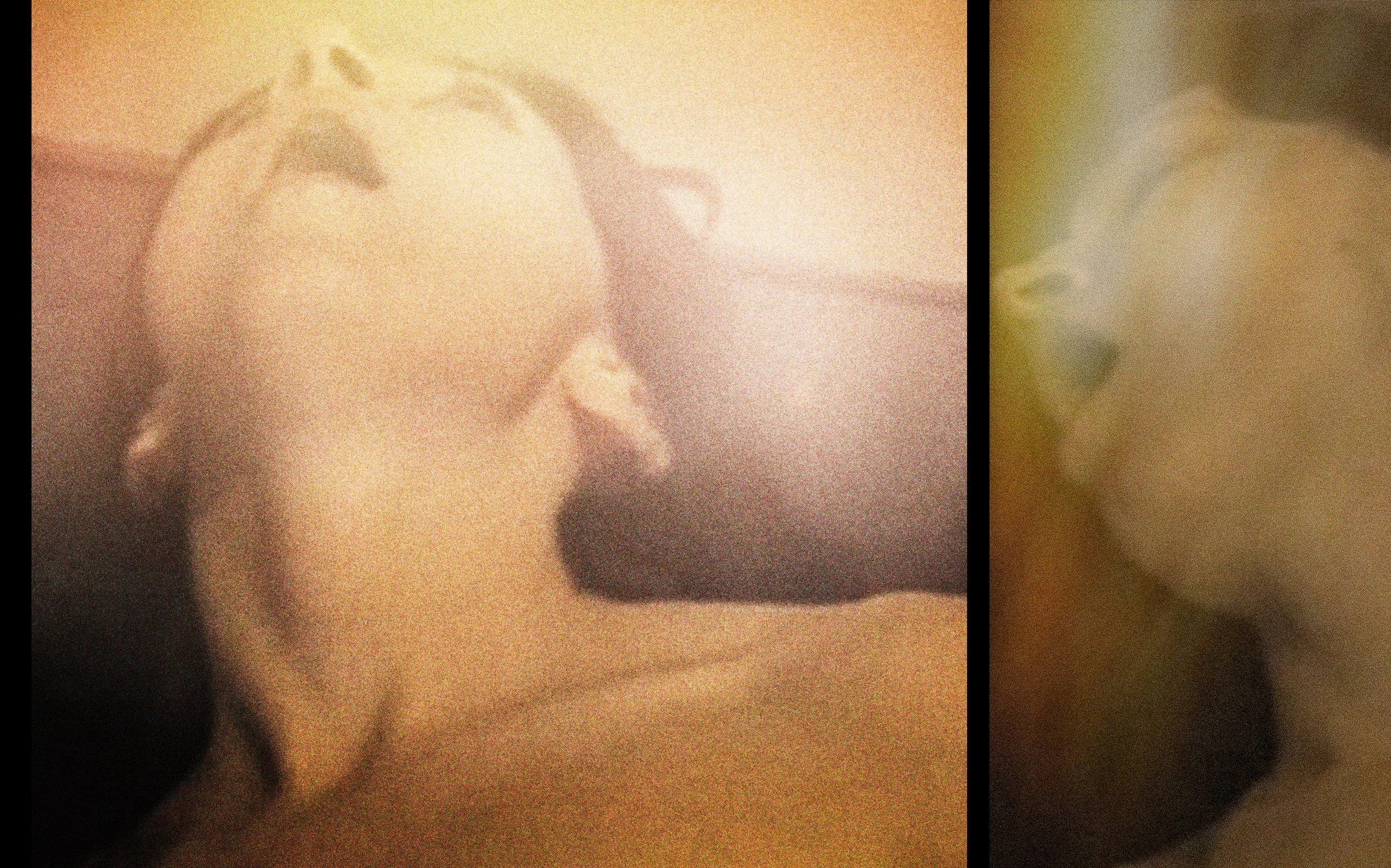 Untitled-2-Recovered copy.jpg