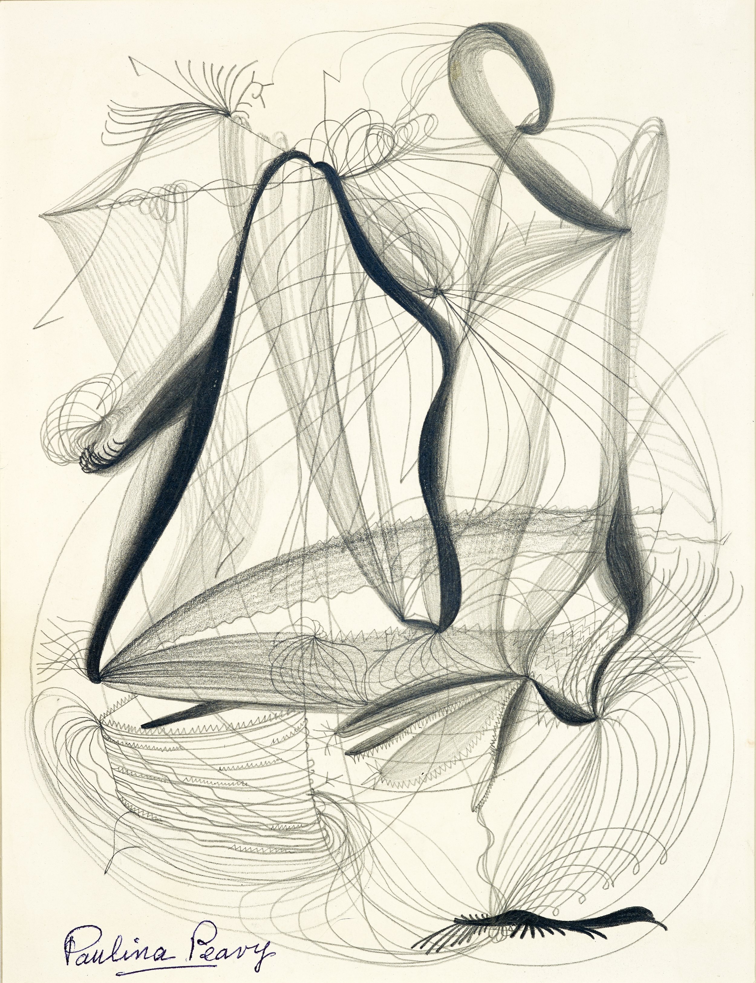 Untitled, c. 1940s. Graphite on paper. 13 x 10 in.
