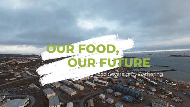 OUR FOOD OUR FUTURE