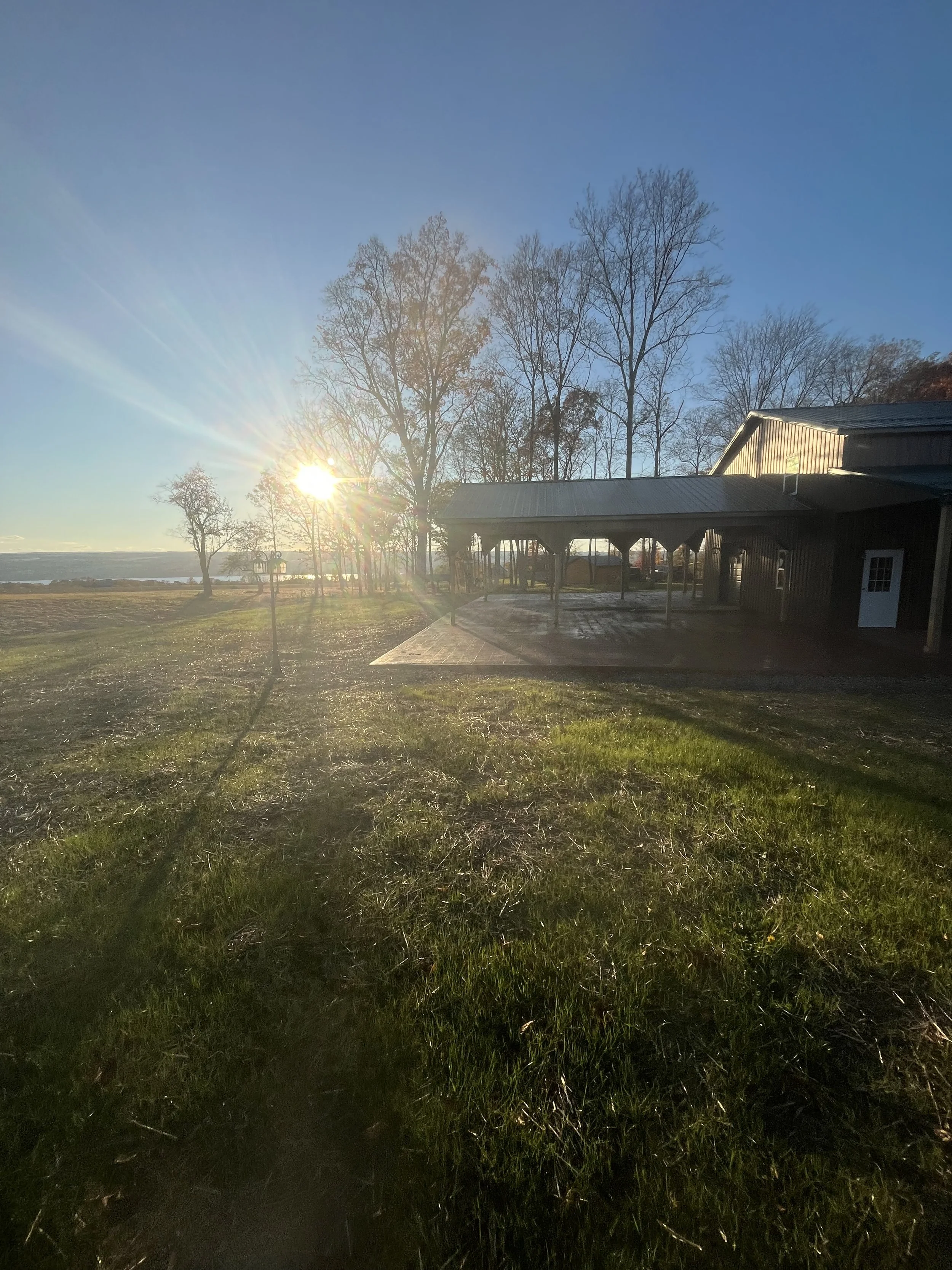 Sun setting behind leafless trees near a wooden building with a covered porch, casting long shadows on the grassy yard.