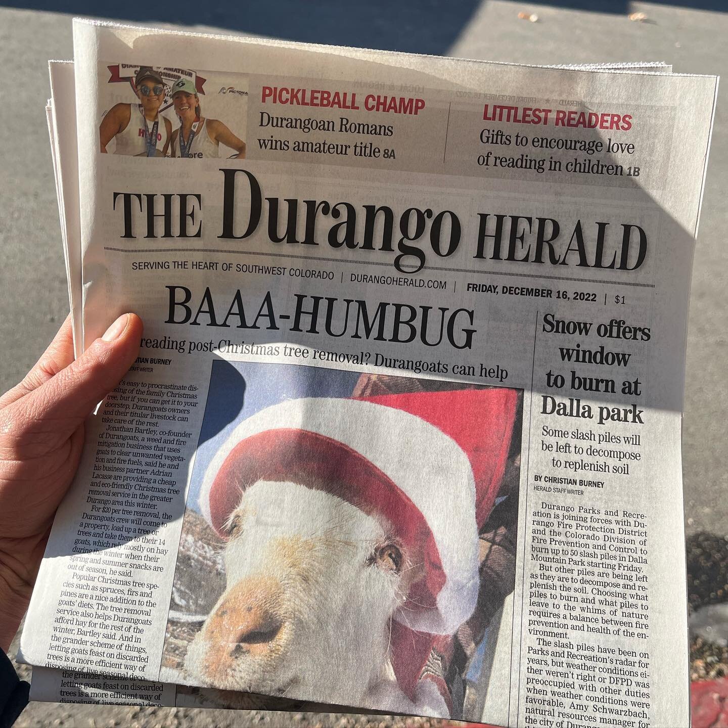 Made the paper this last week for our Christmas tree removal service! Do you have a live tree this year? We can come and pick it up, use it to feed goats, and then we&rsquo;ll chip it, and compost the remains at future job sites, improving soil condi