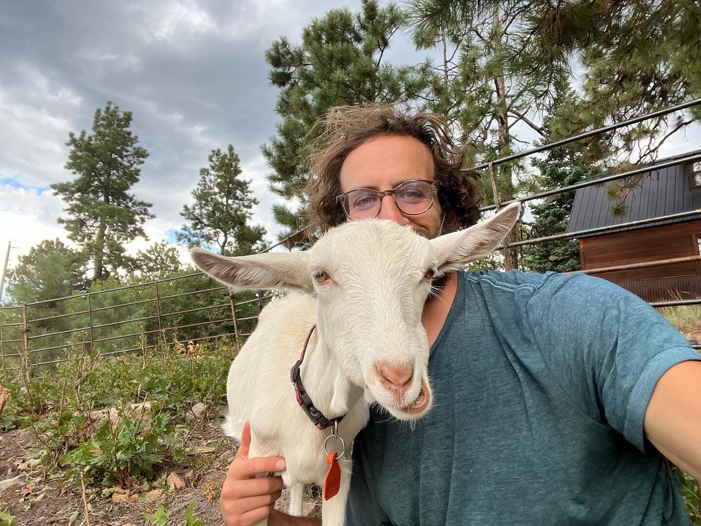 Everyone, meet Dewey. He&rsquo;s a sweet goat that loves people. His best friend is Pep&eacute; (soon to be featured). He loves flowers, nibbling on fingers, and enjoys long walks around the pasture.