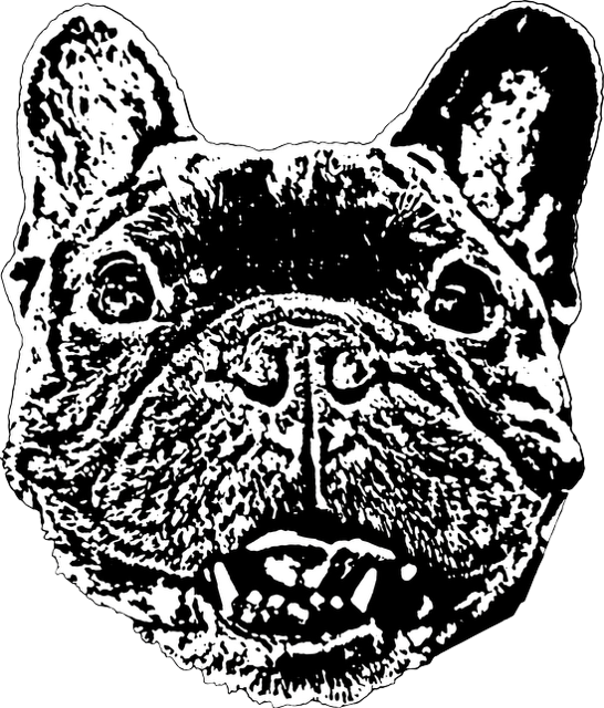 Rocky Bagel logo - 2026.png