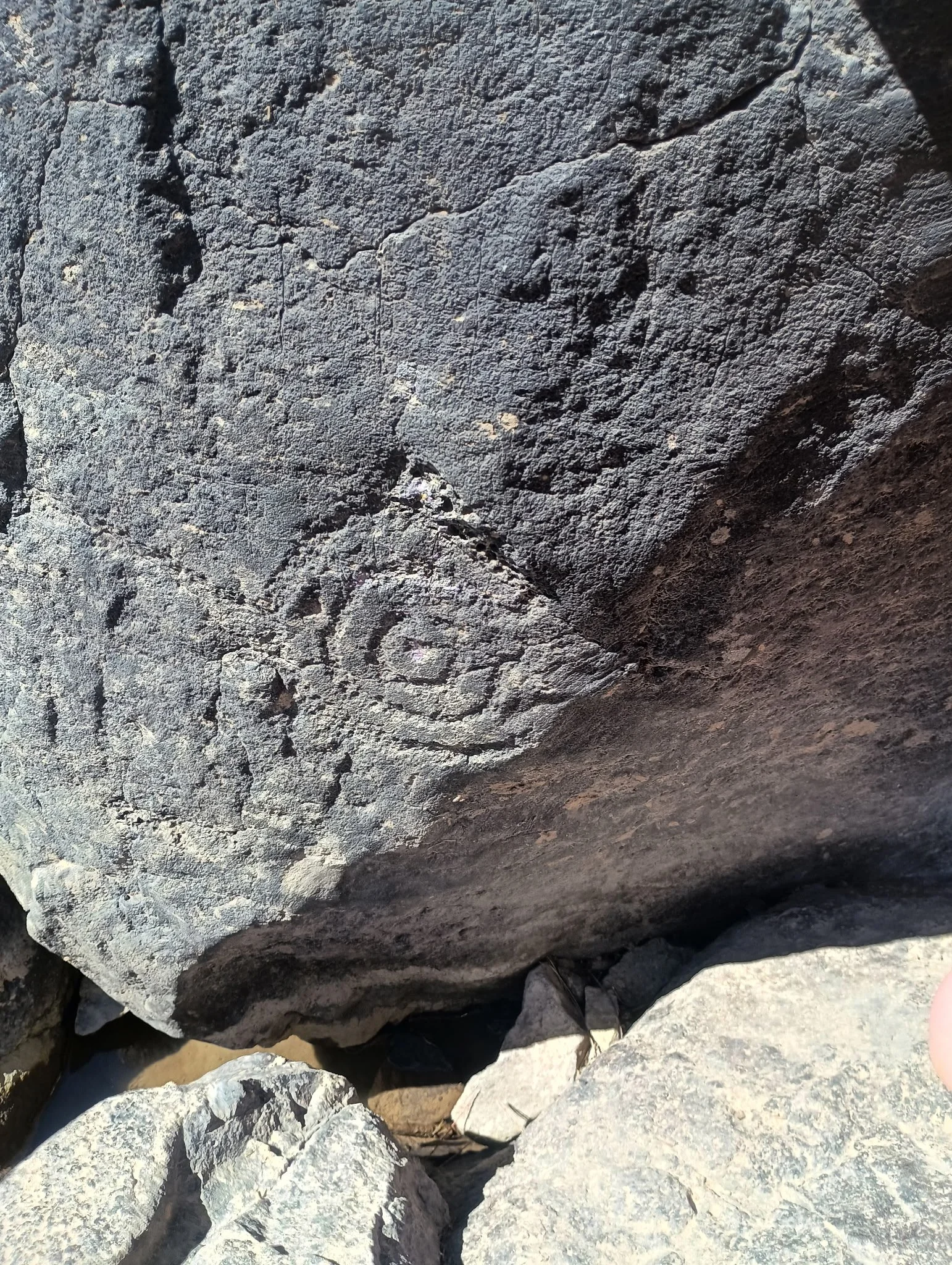 Petrogylph at the primitive hot springs