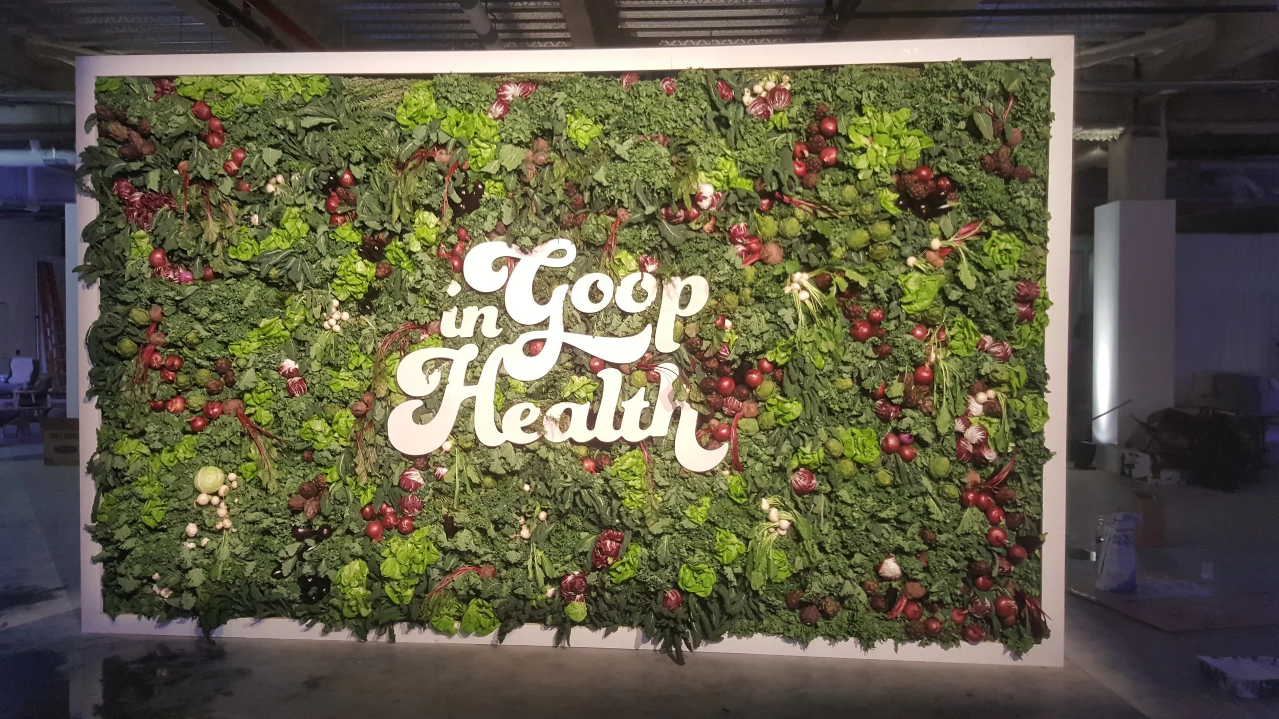 20180126_Goop in Health.jpg