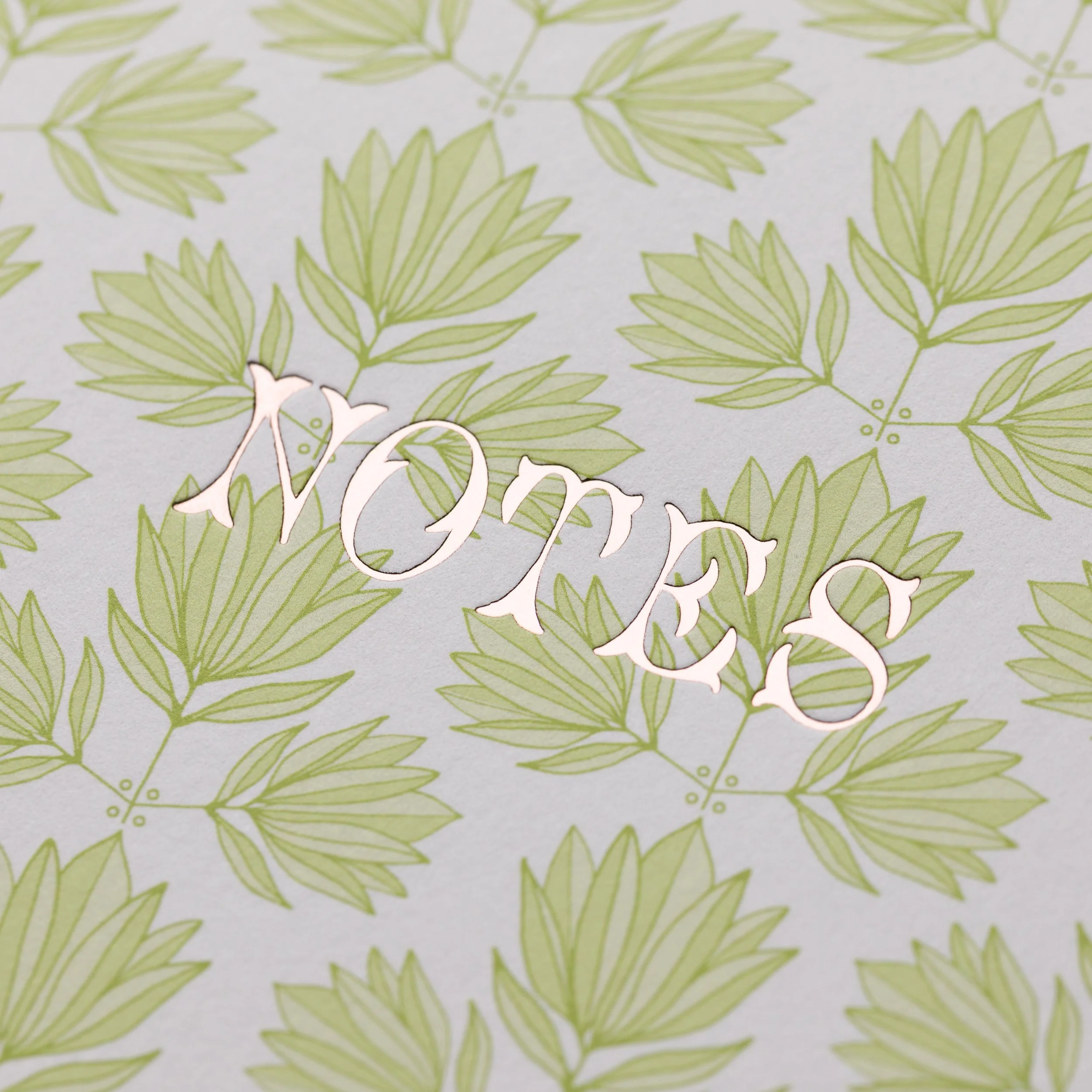 Notebook - Notes 01.2.jpg