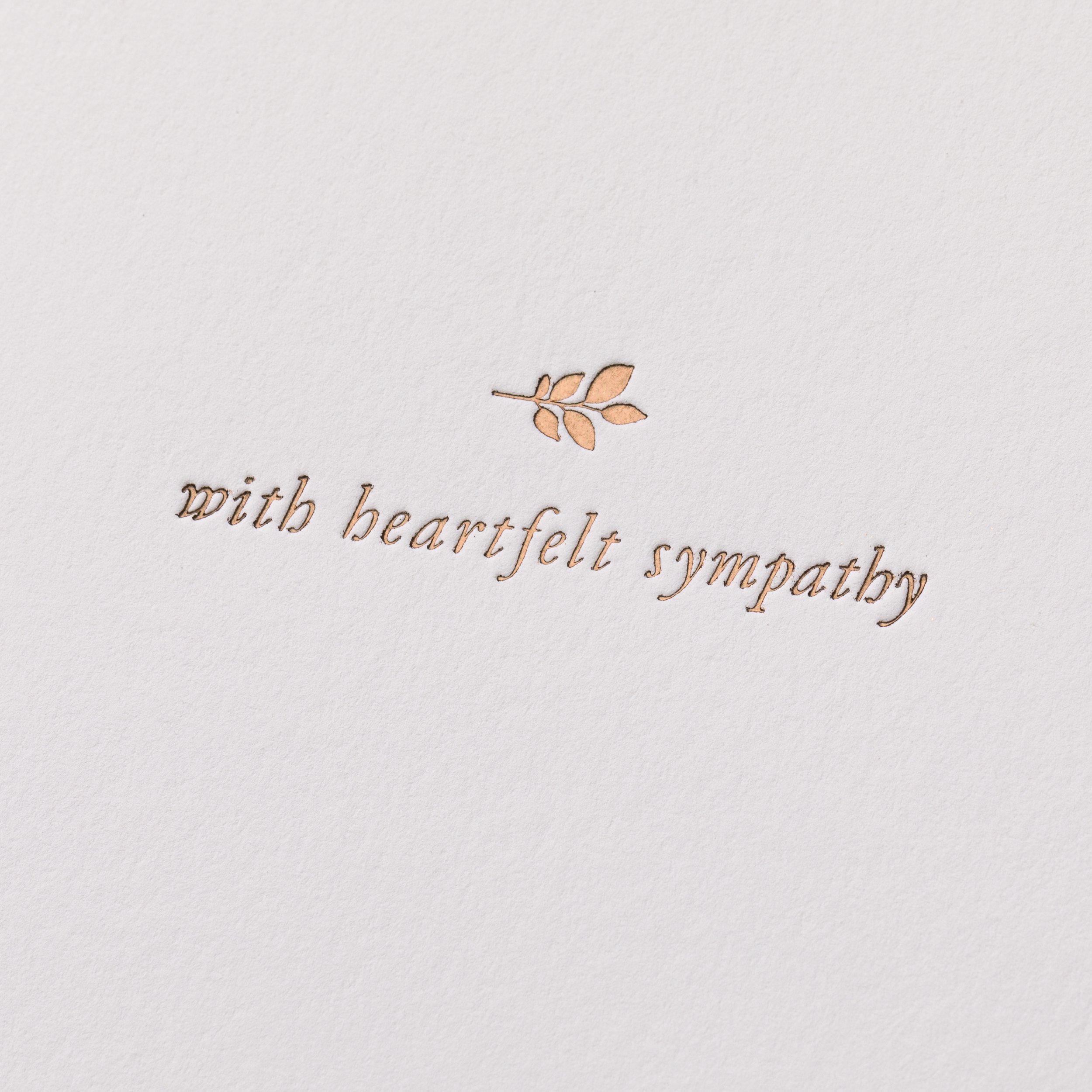 Sympathy 01.2.jpg