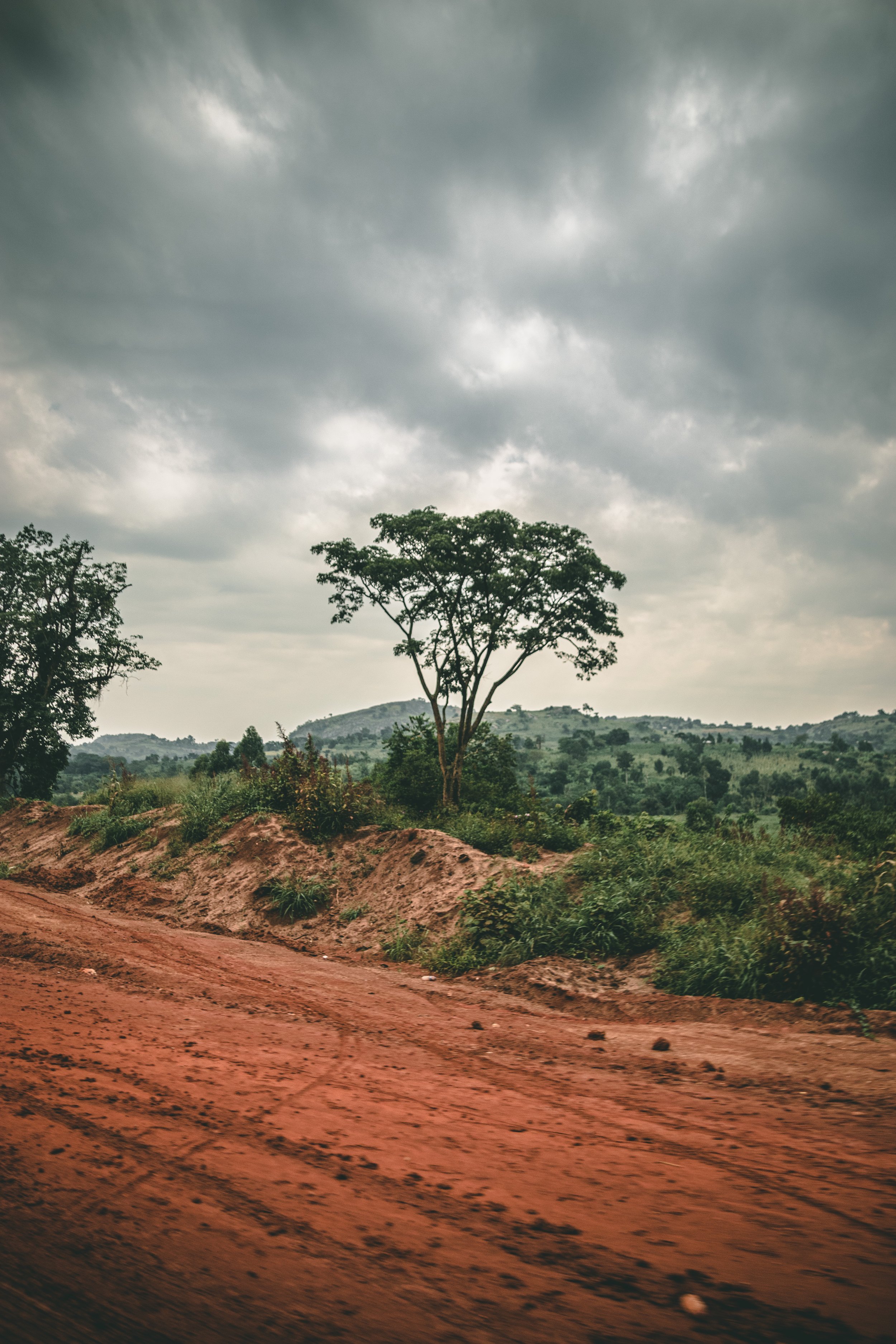 Rural landscape with red dirt road, trees, and cloudy sky