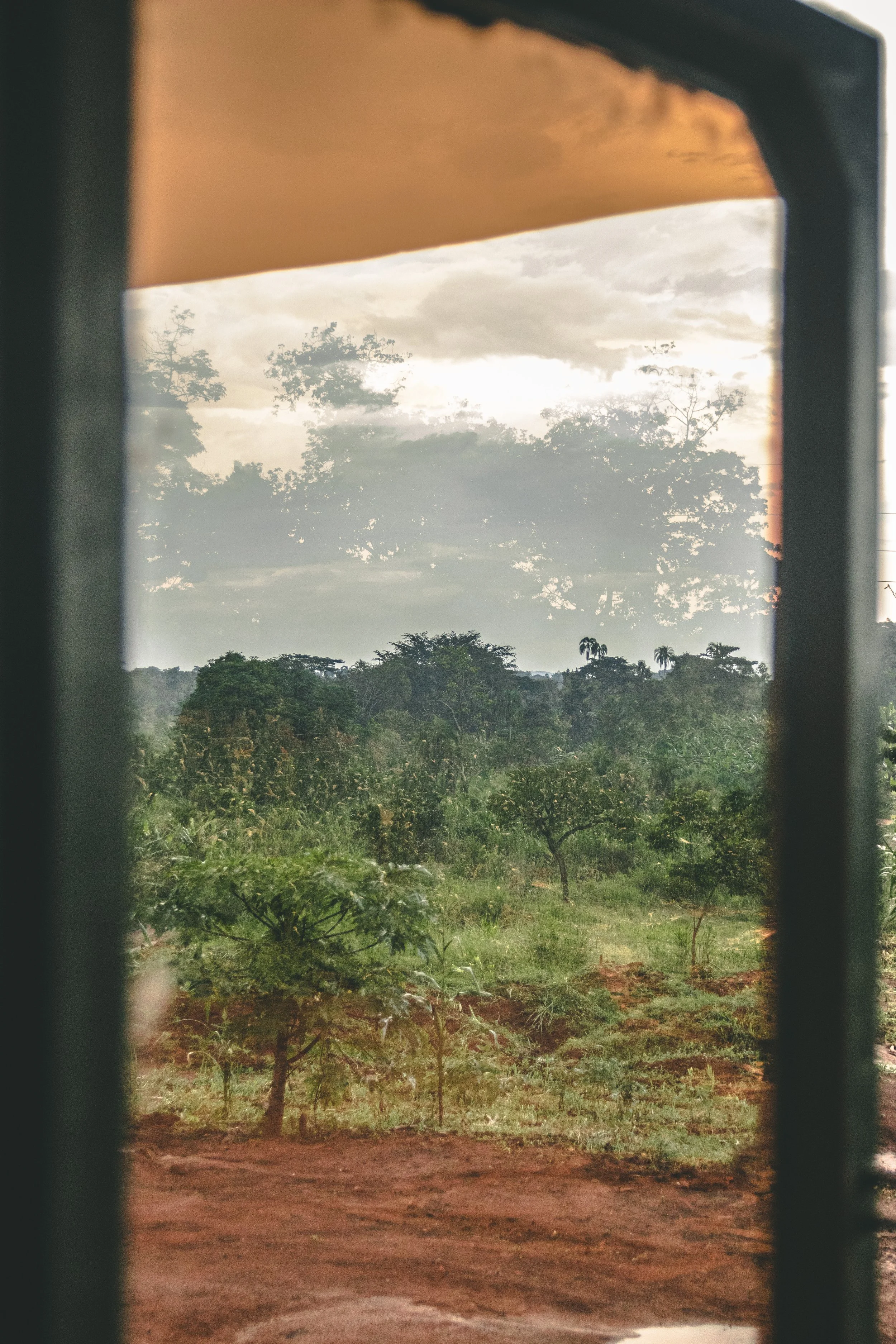 View of a lush green landscape with trees and cloudy sky, seen through a rectangular window frame.
