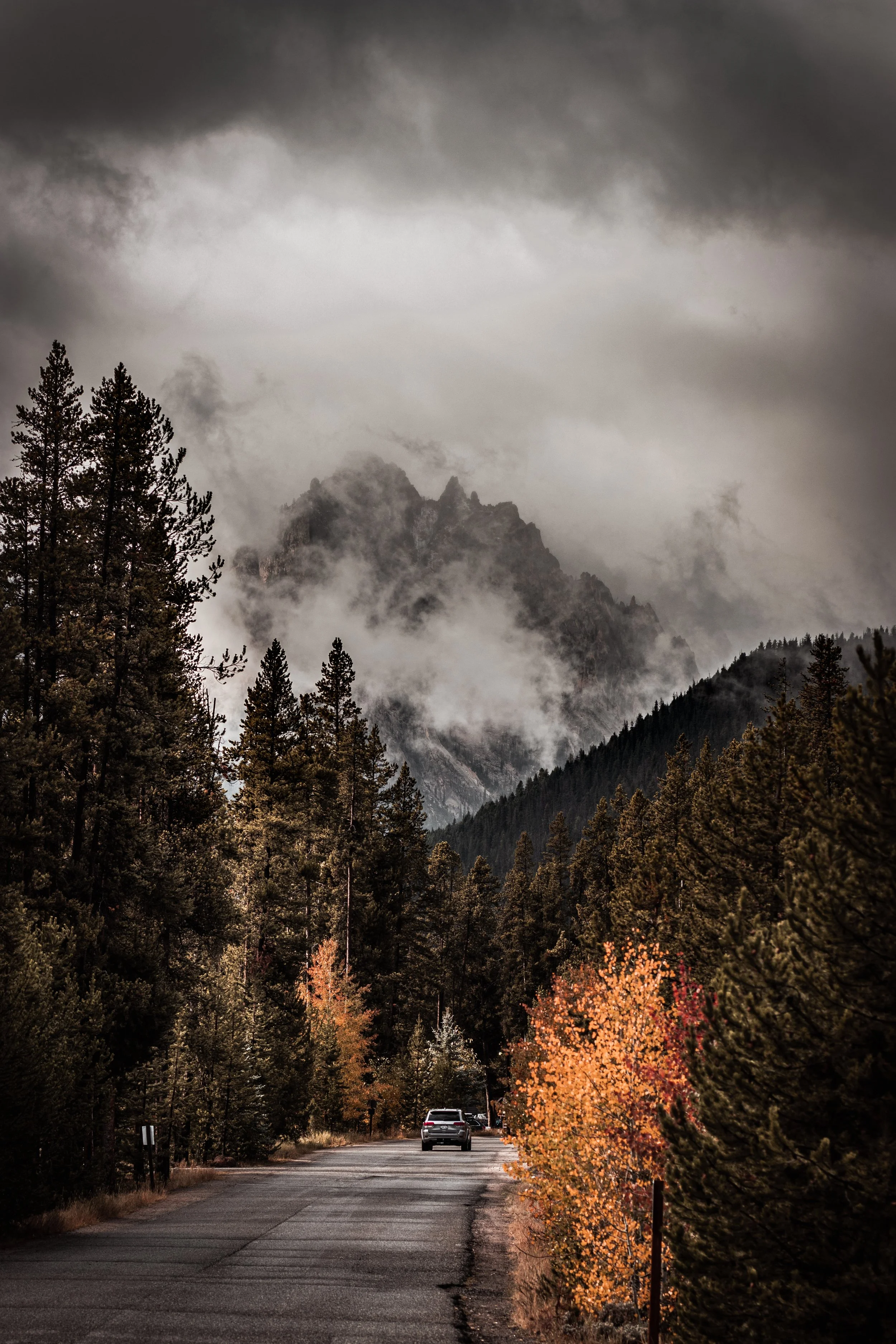 Car driving on a scenic forest road with autumn foliage and misty mountains in the background.